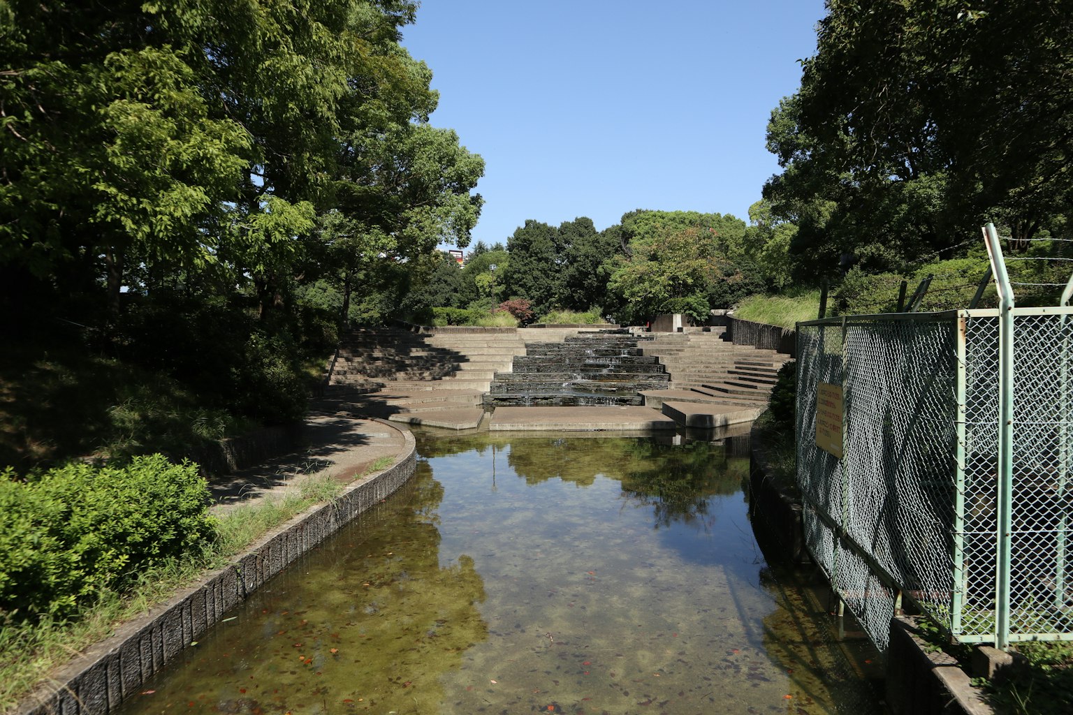 寧靜的公園場景，池塘和石階被茂密的綠樹環繞