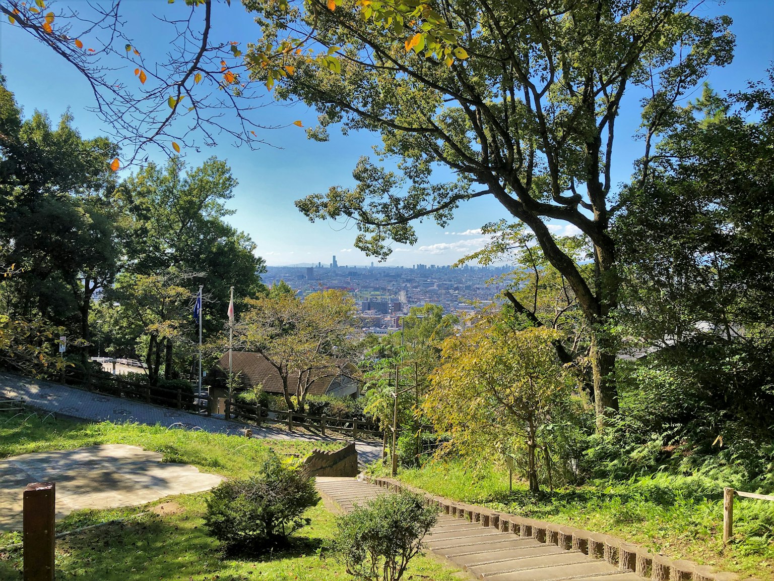 Vue panoramique d'un parc verdoyant avec une skyline urbaine au loin