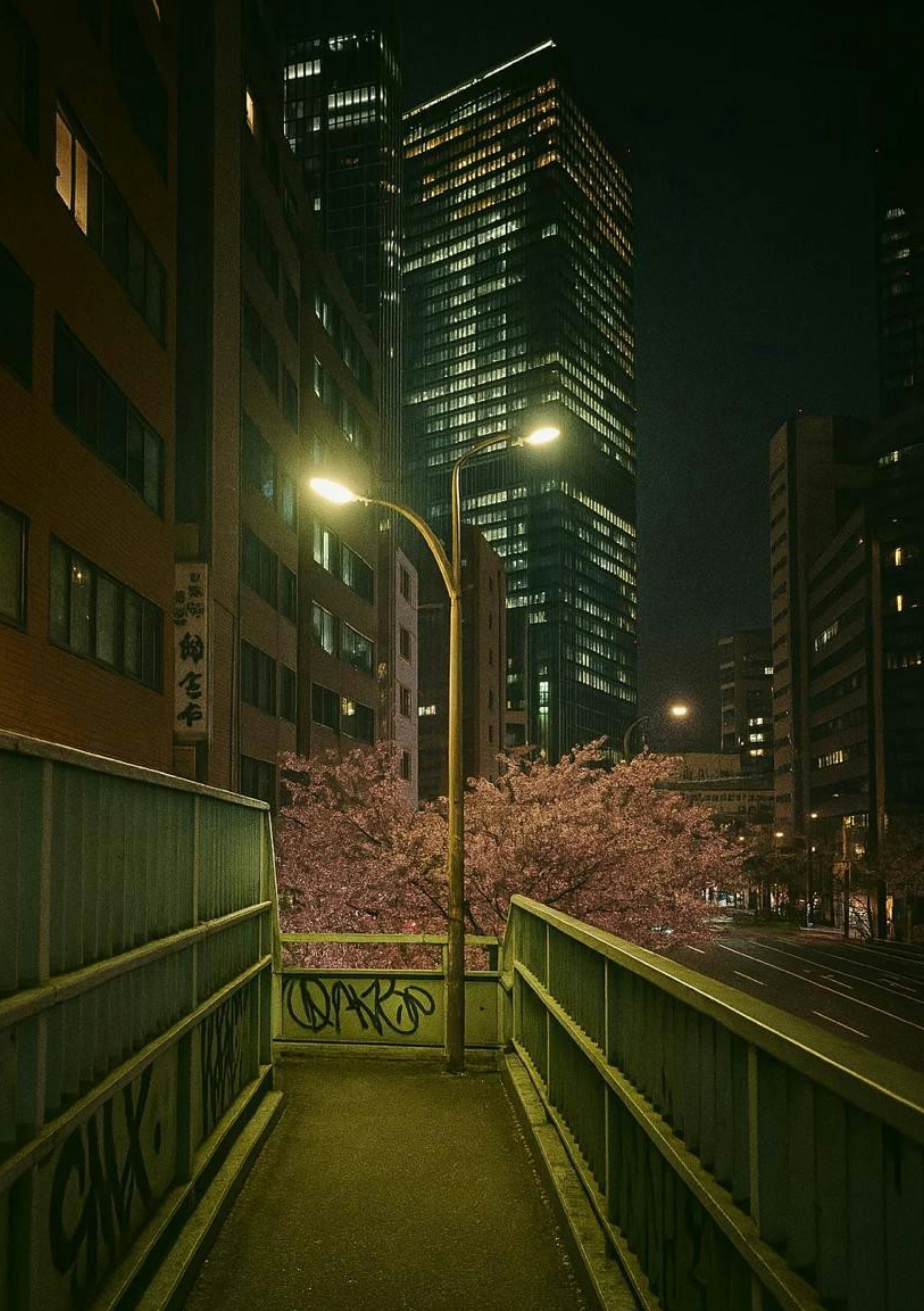 夜の高層ビル街に続く路地の街灯と桜の並木