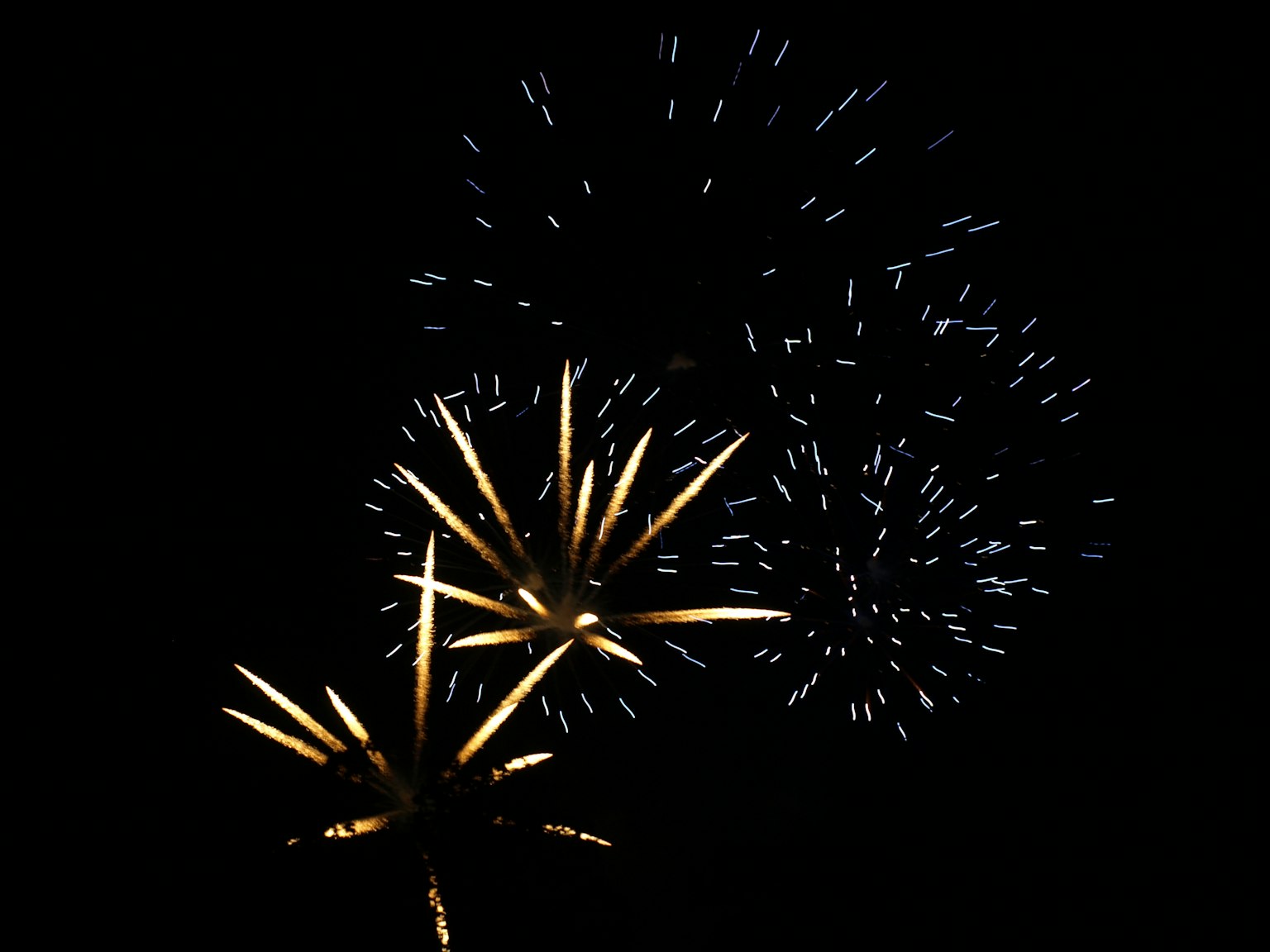 Fuochi d'artificio vibranti che esplodono nel cielo notturno