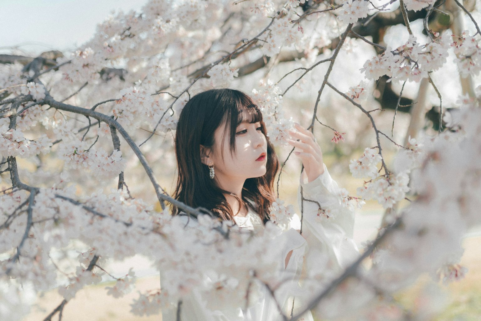 Ritratto di una donna tra i ciliegi in fiore