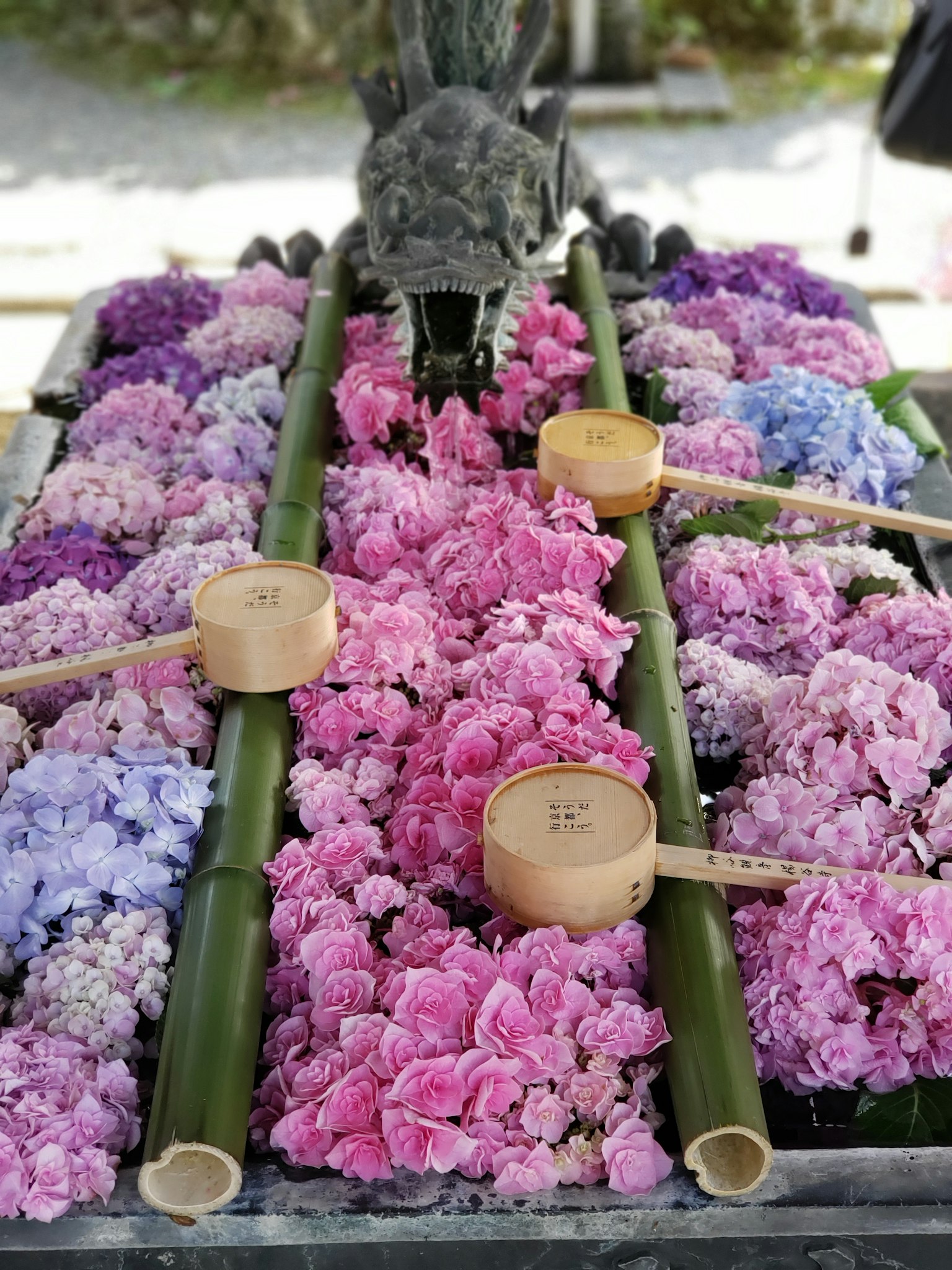 Susunan dekoratif bunga berwarna-warni dengan sendok bambu dan air mengalir
