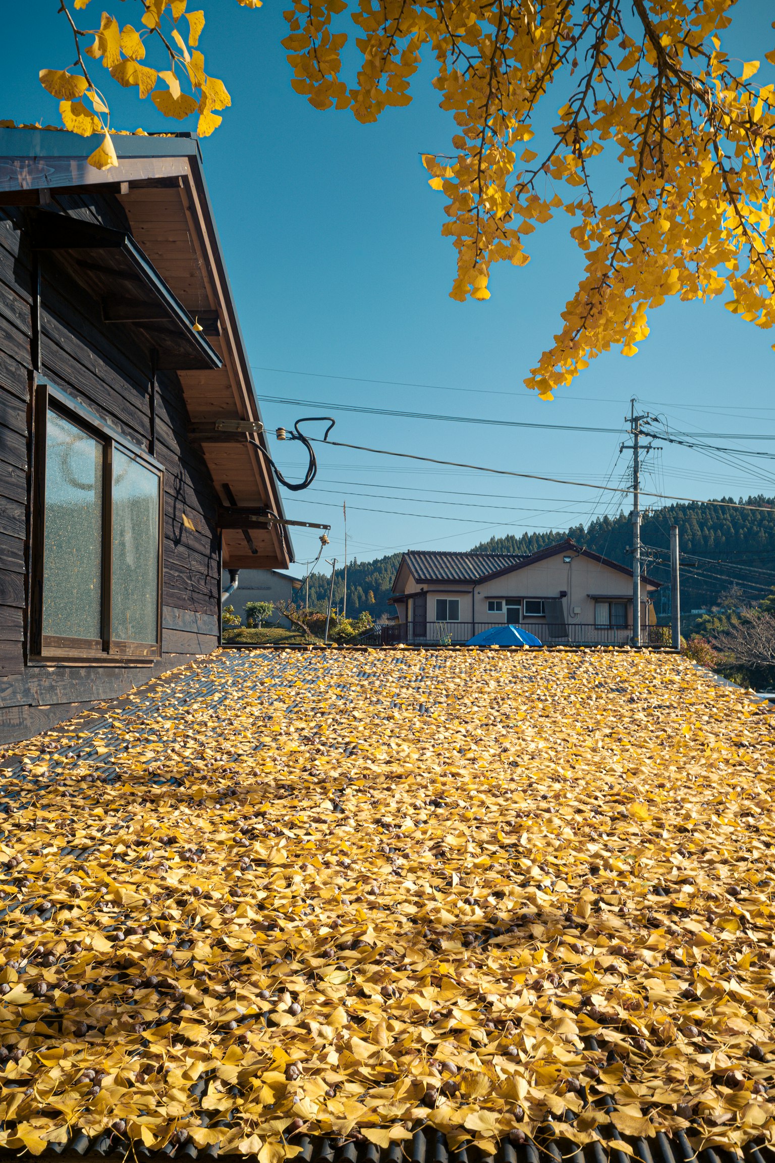 秋の葉が屋根に積もった風景 青空と山々が背景にある