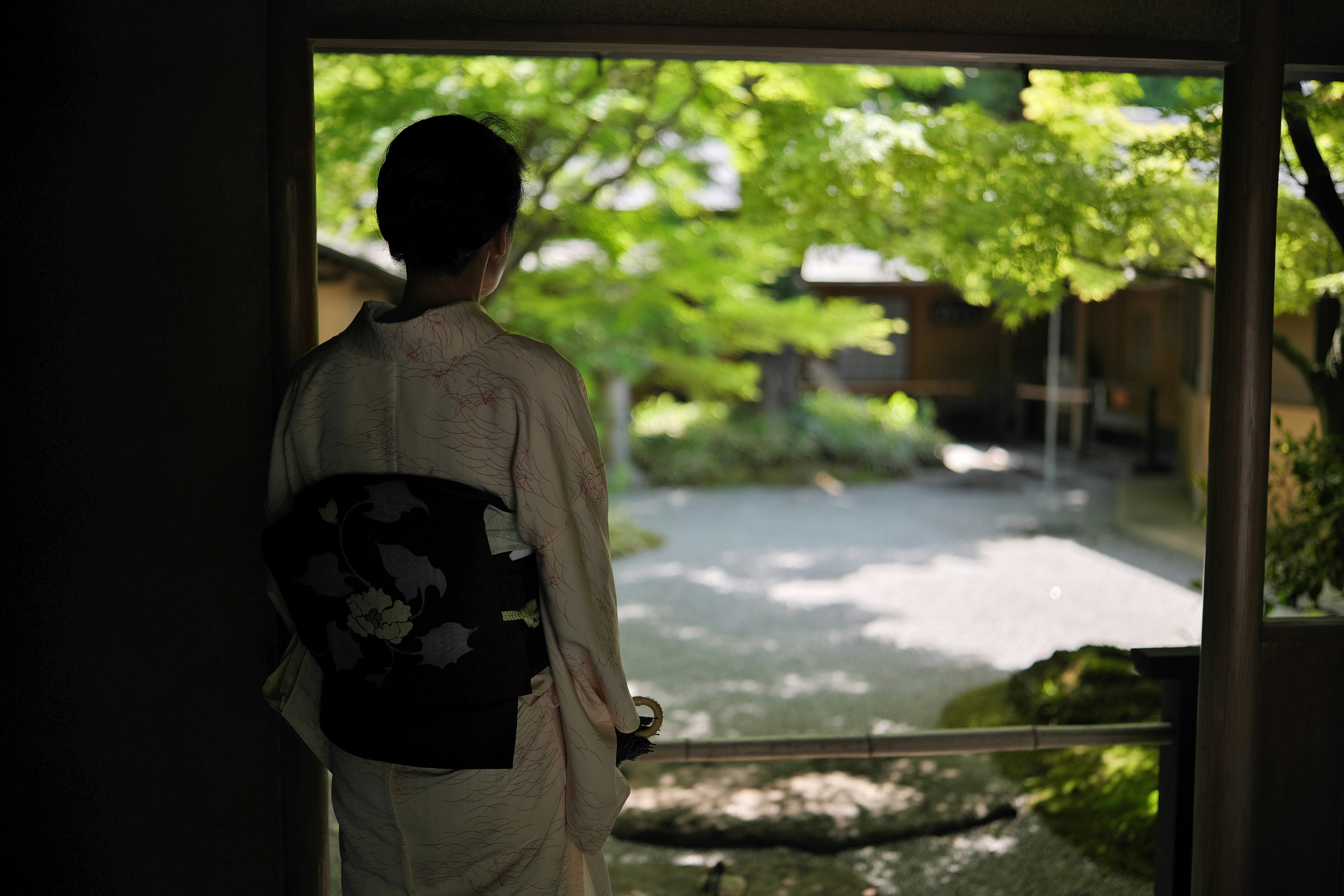 新緑の庭を見つめる後ろ姿の人物のある室内の窓辺