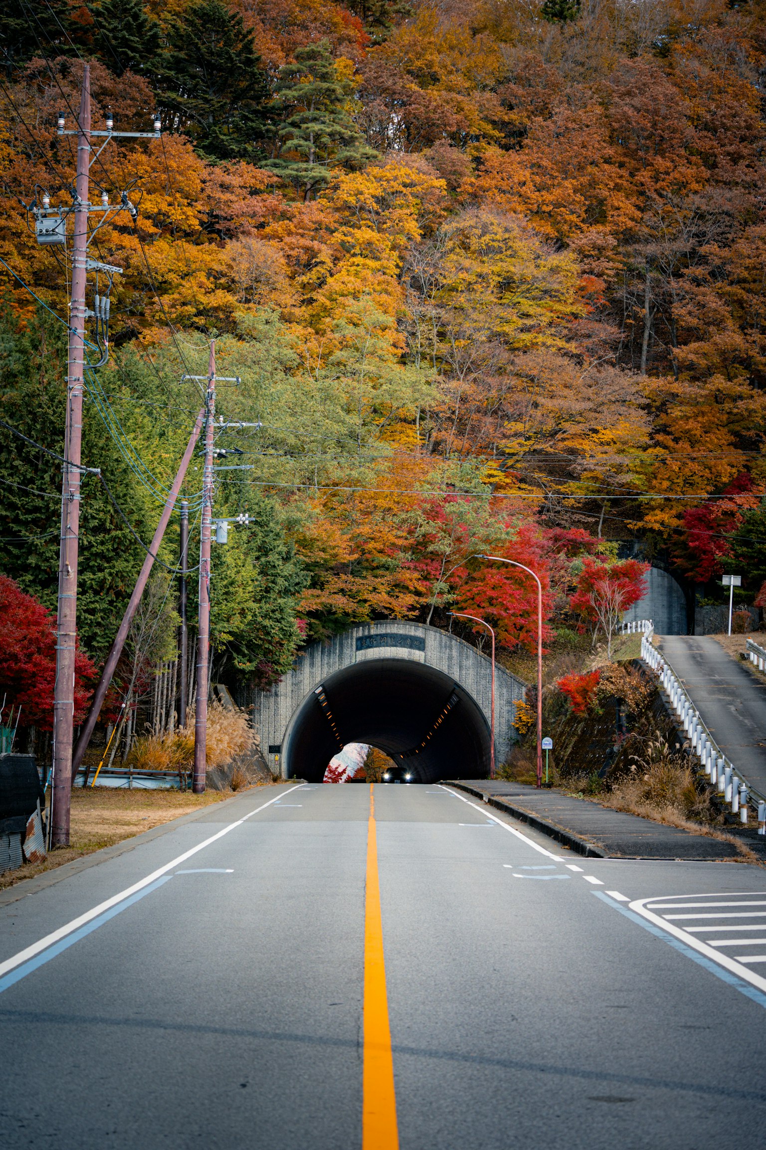 秋の色づいた木々に囲まれたトンネルのある道路