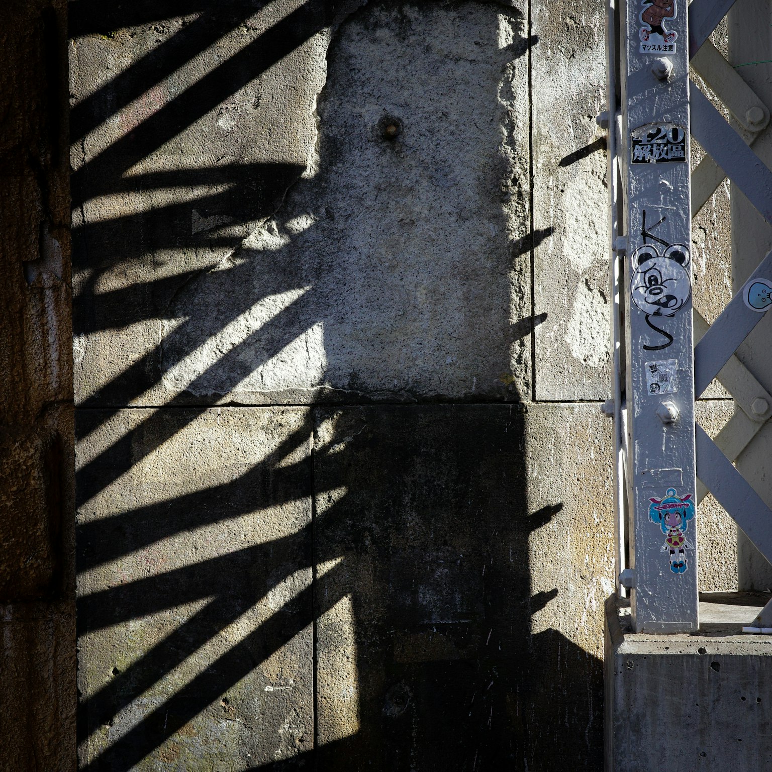 Sombras cruzadas en una pared texturizada antigua y una puerta de metal