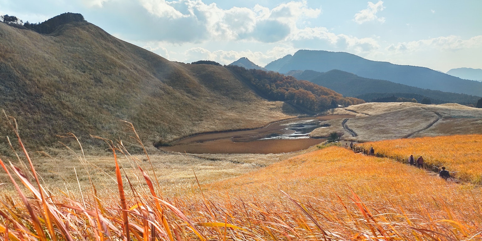Amplio paisaje otoñal con colinas suaves y hierba naranja vibrante