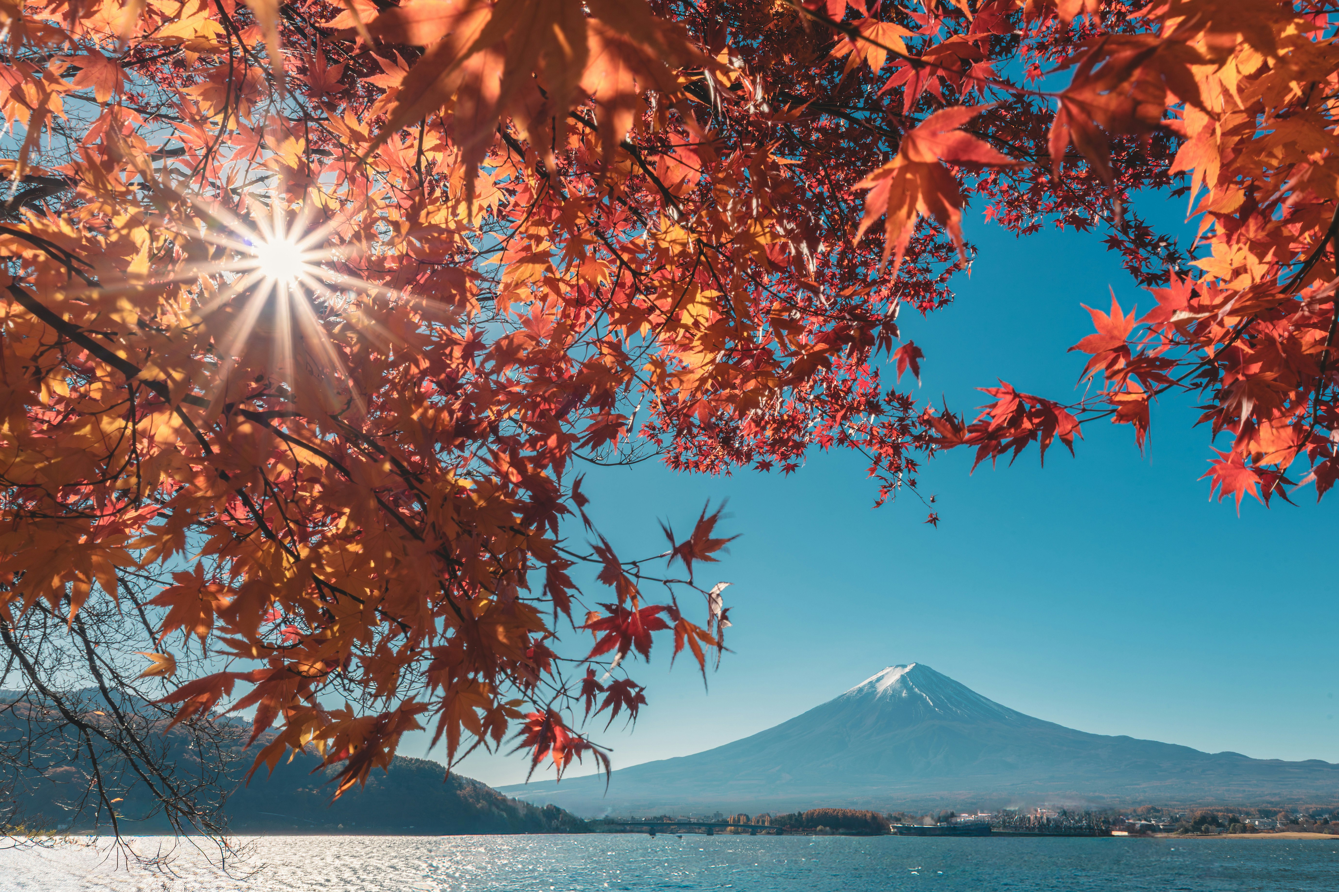 紅葉の枝と富士山を望む湖畔の風景