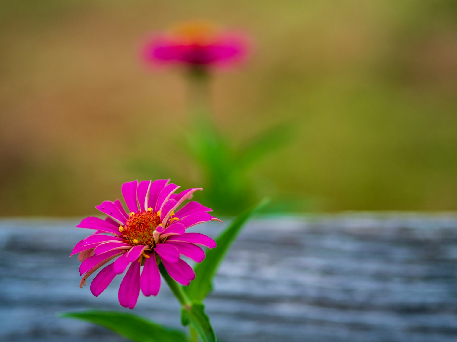 photo-pMyNpdtOx6Q0Hd8ZsL8t-image