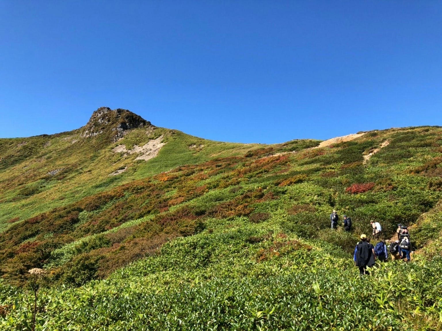Menschen wandern auf einem grünen Hügel unter einem klaren blauen Himmel