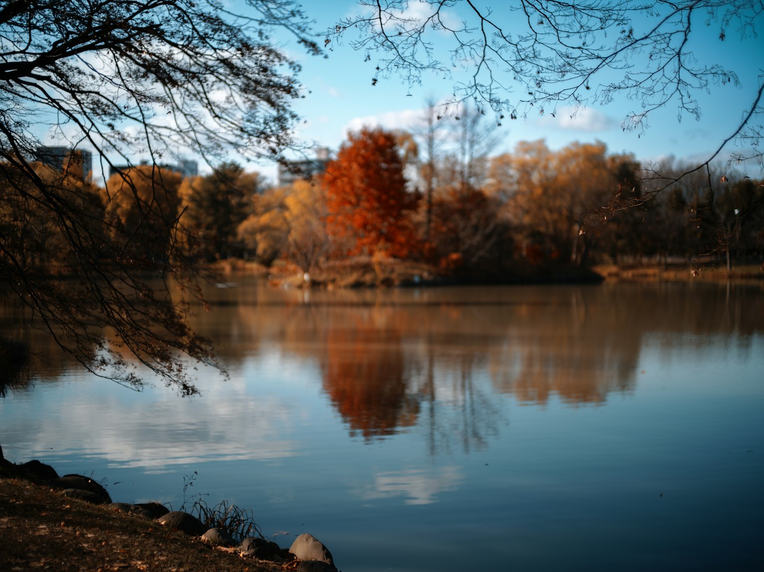 Vista serena del lago che riflette alberi autunnali e cielo blu