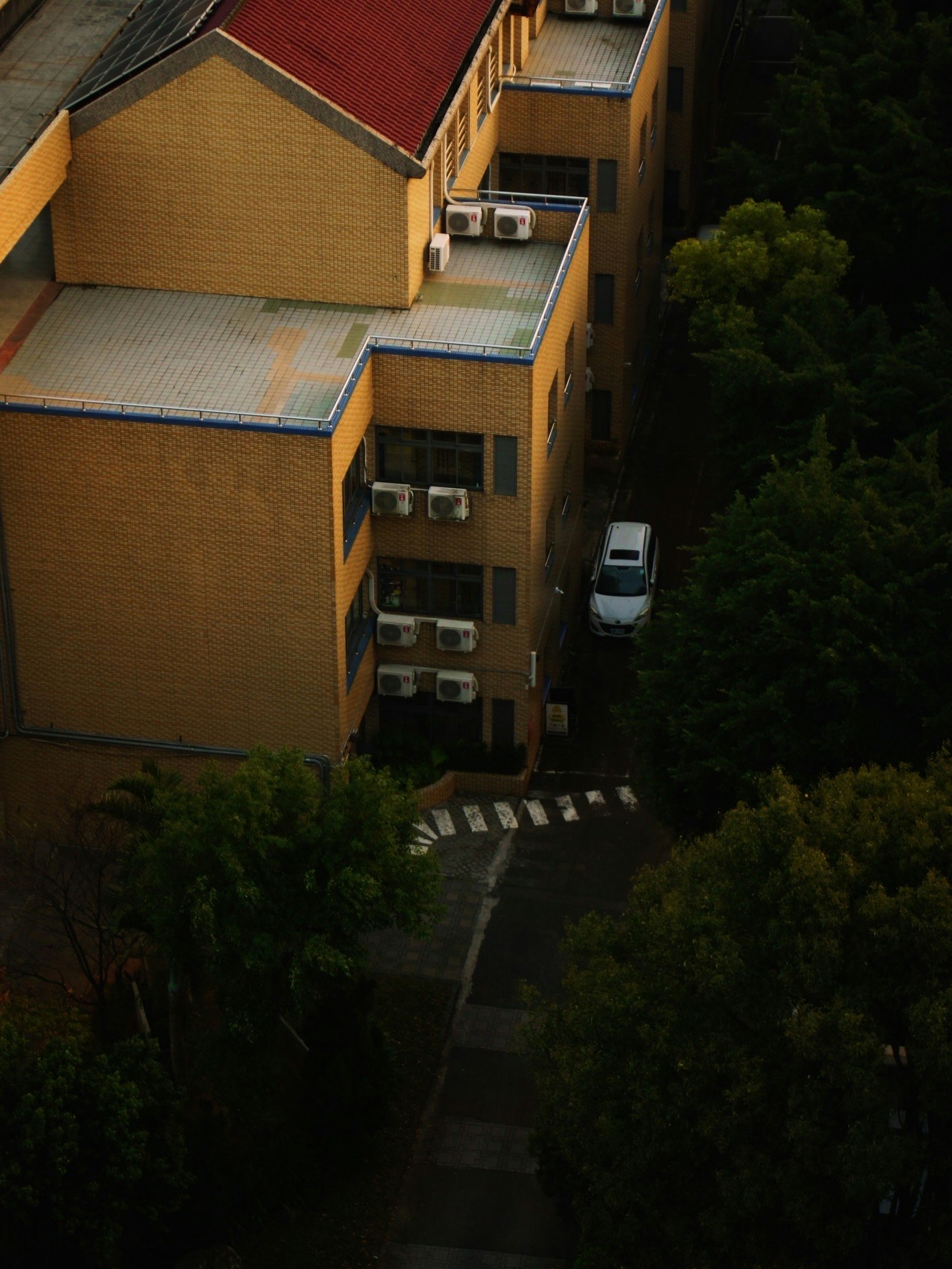 黄色い建物と赤い屋根の住宅街の上空からの視点 緑の木々と歩道が見える