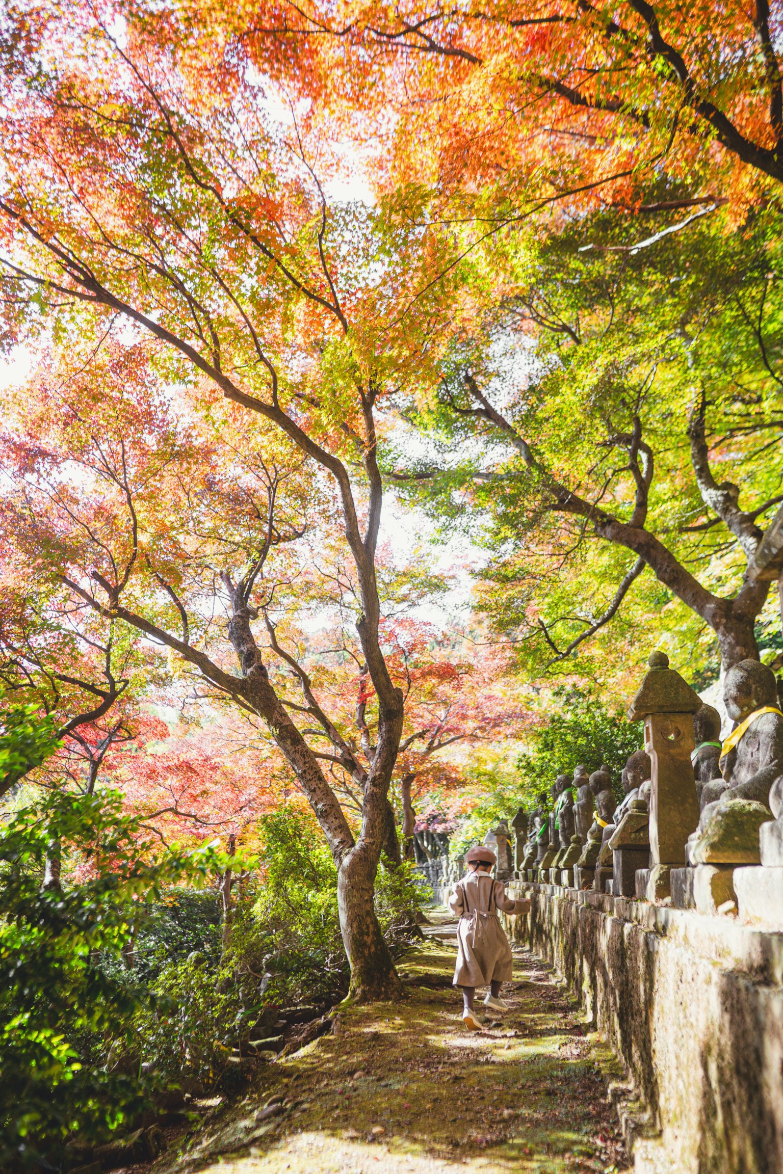美しい紅葉の木々に囲まれた小道を歩く人