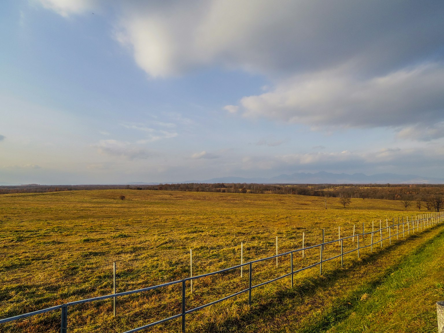Ampio paesaggio di prateria con erbe dorate e cielo blu