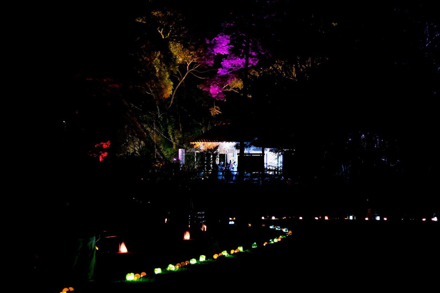 Un jardin avec un éclairage coloré et une petite maison dans un fond sombre