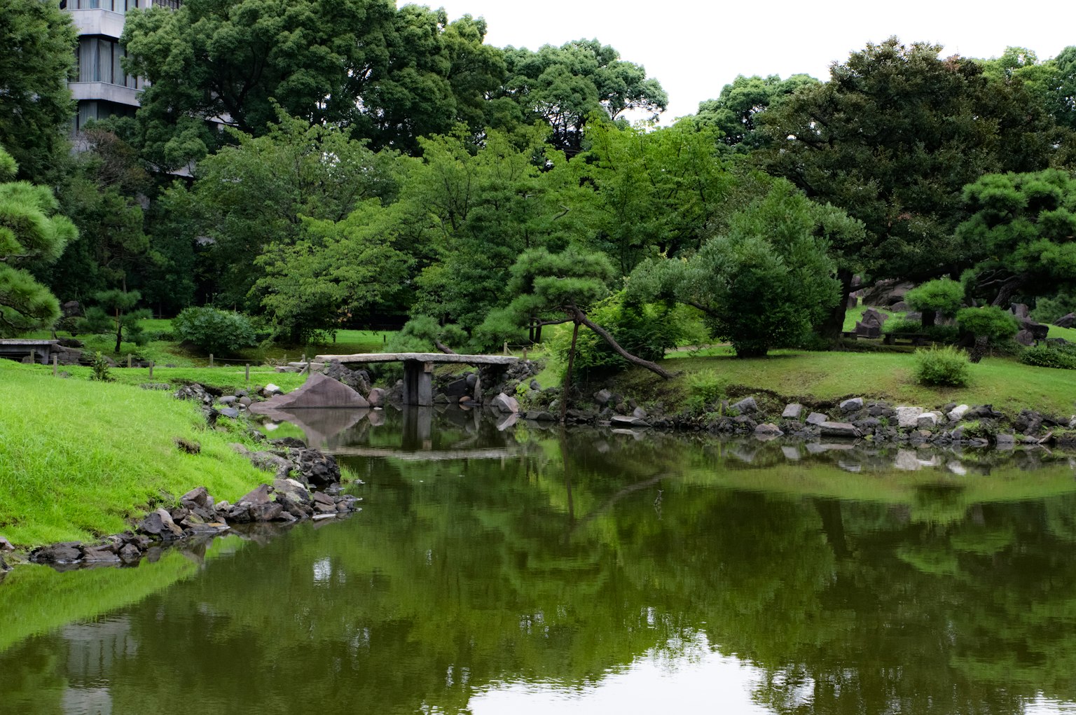 Japanese garden landscape with a pond and lush greenery