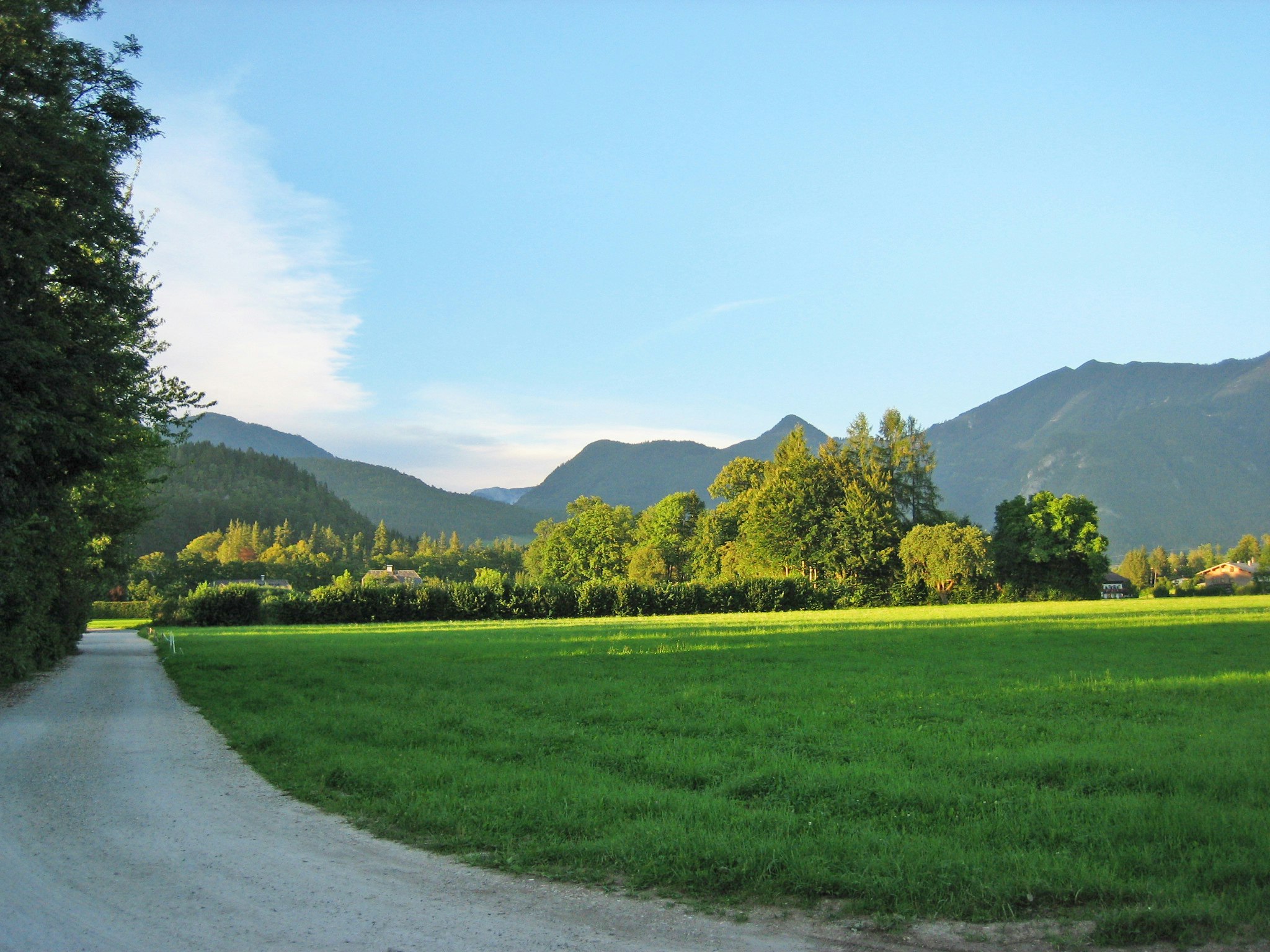 grüne Wiese und ländliche Landschaft mit Bergkette