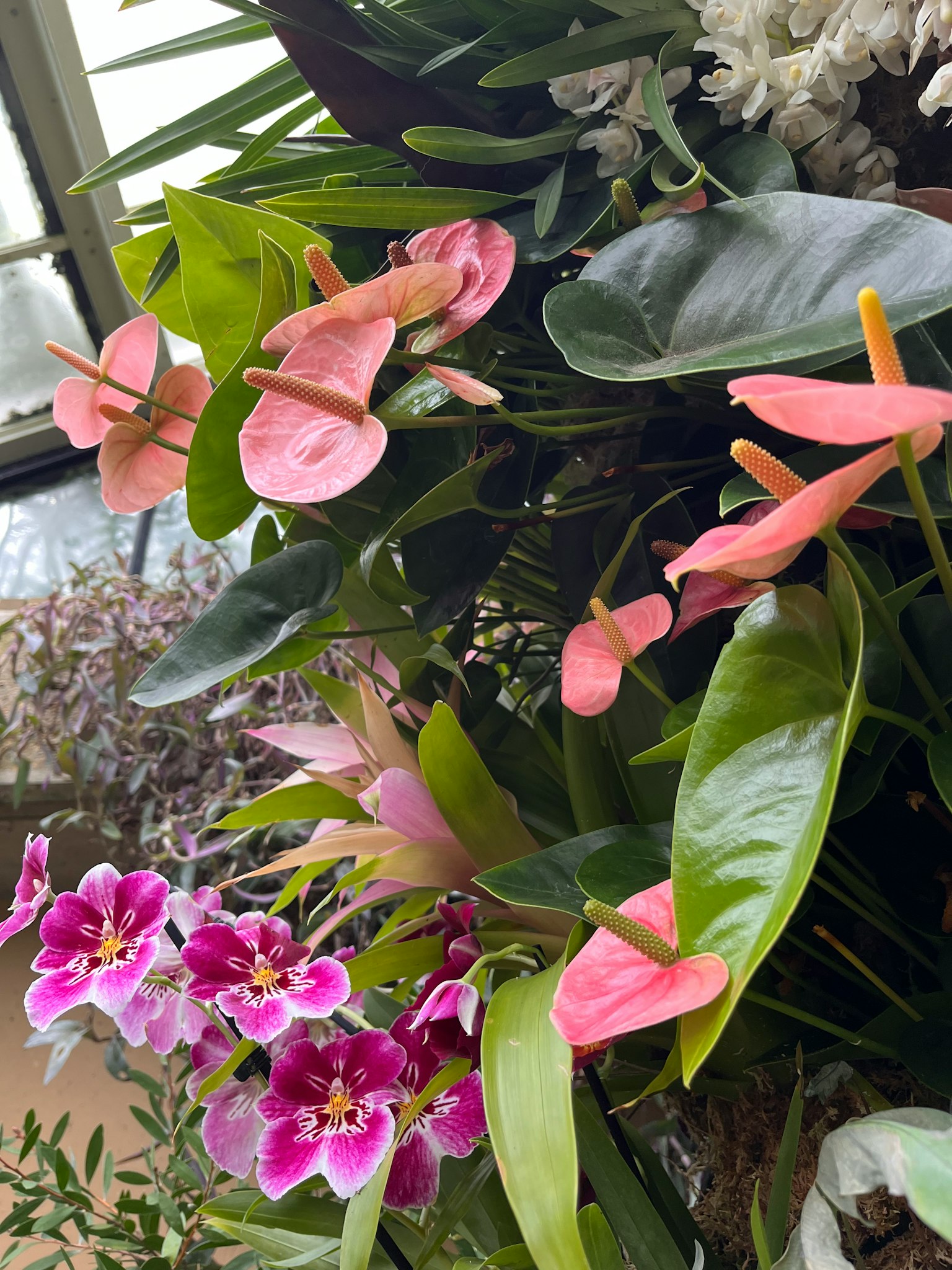 色彩斑斓的花卉佈置帶有粉色和紫色花朵
