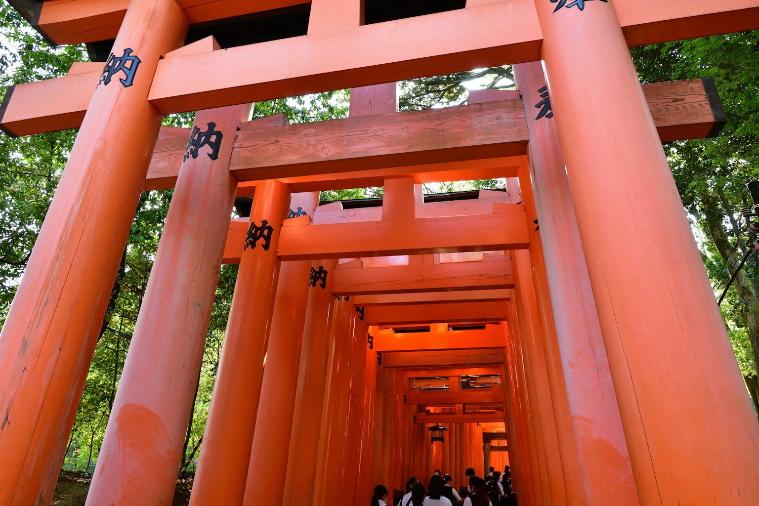 Vibrant orange torii gates lined up with people walking through