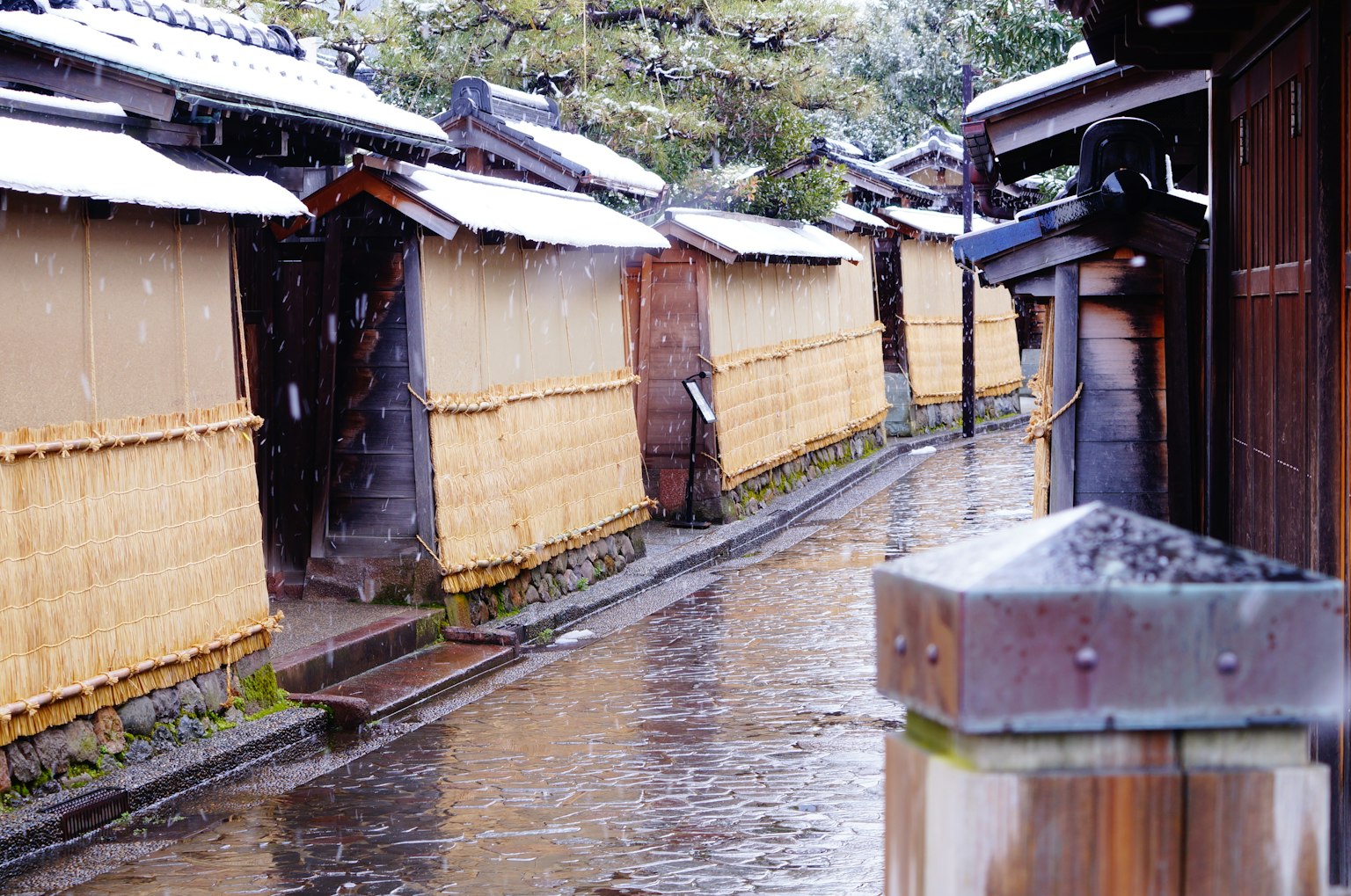 Ngõ truyền thống ở Kyoto với tuyết và hàng rào tre