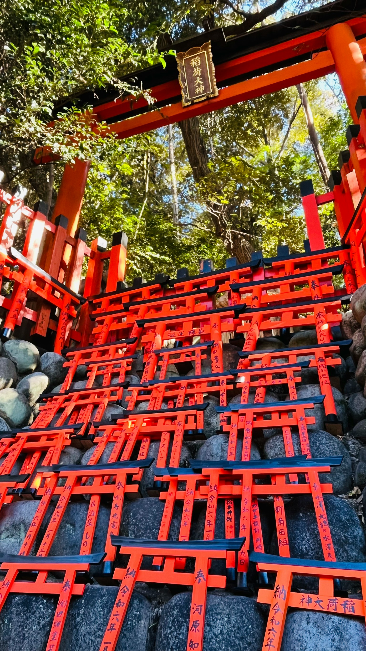 被綠色環繞的紅色鳥居階梯