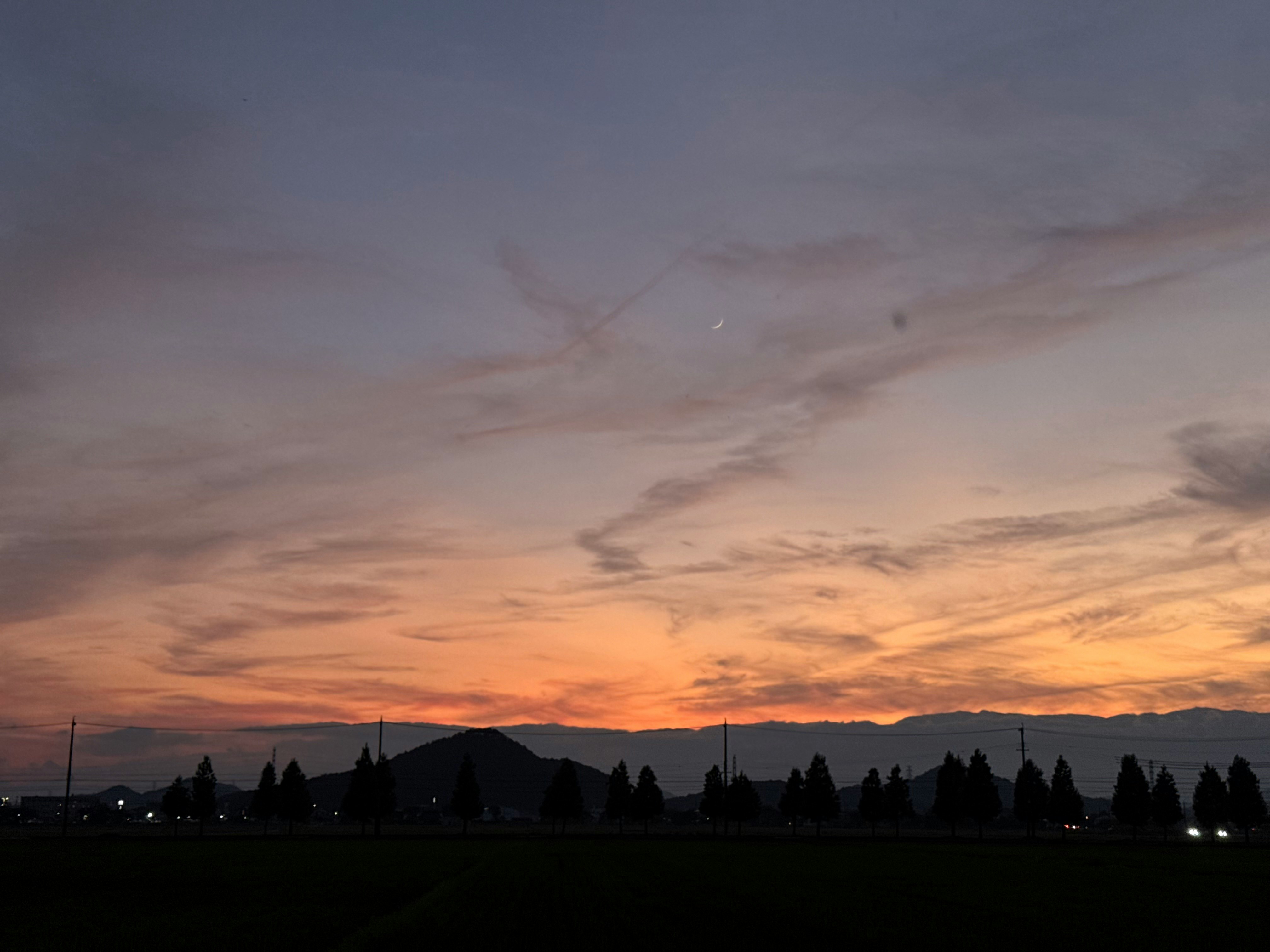 cielo al tramonto sopra sagome di alberi