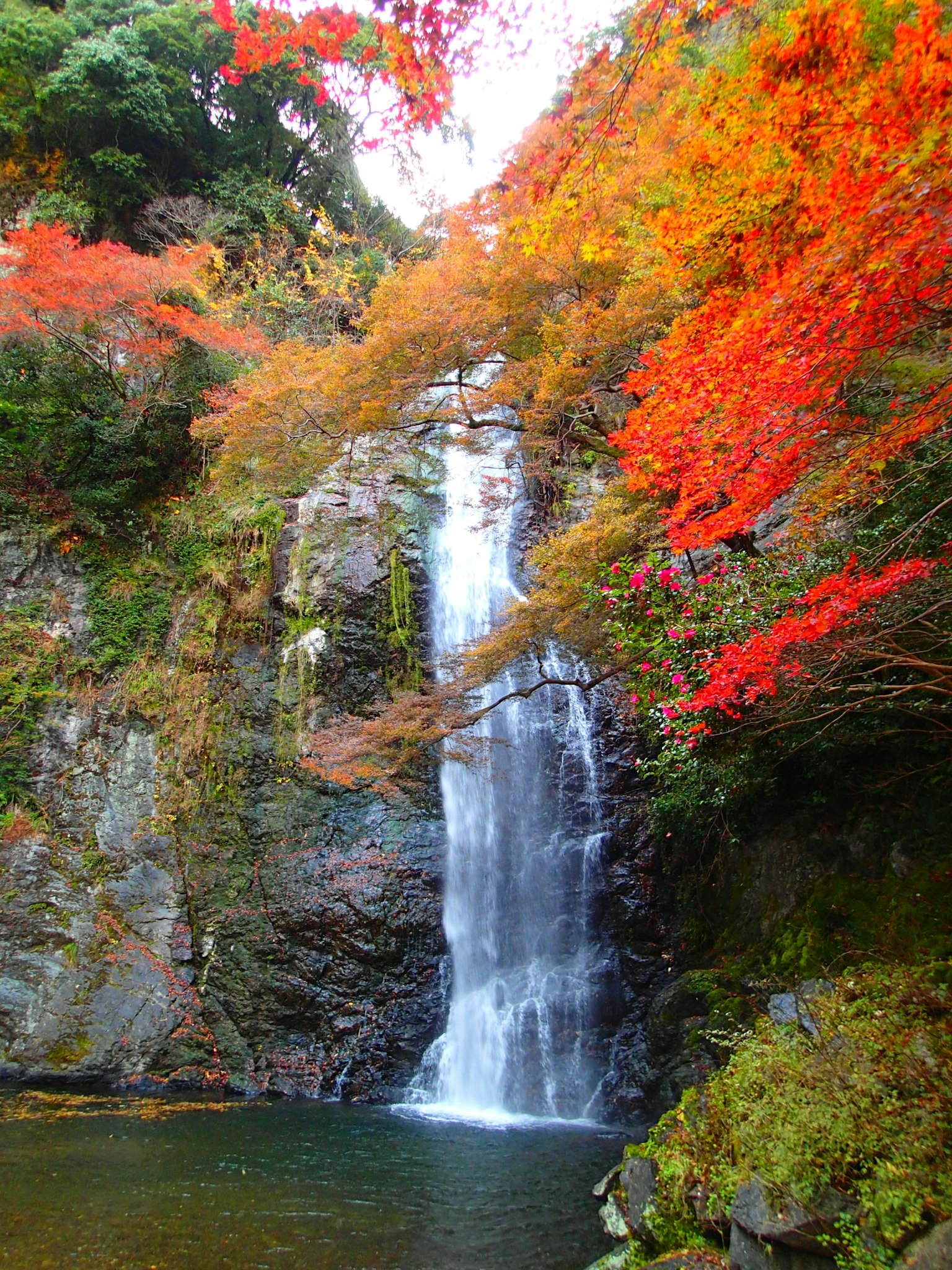 被秋天的樹葉環繞的美麗瀑布