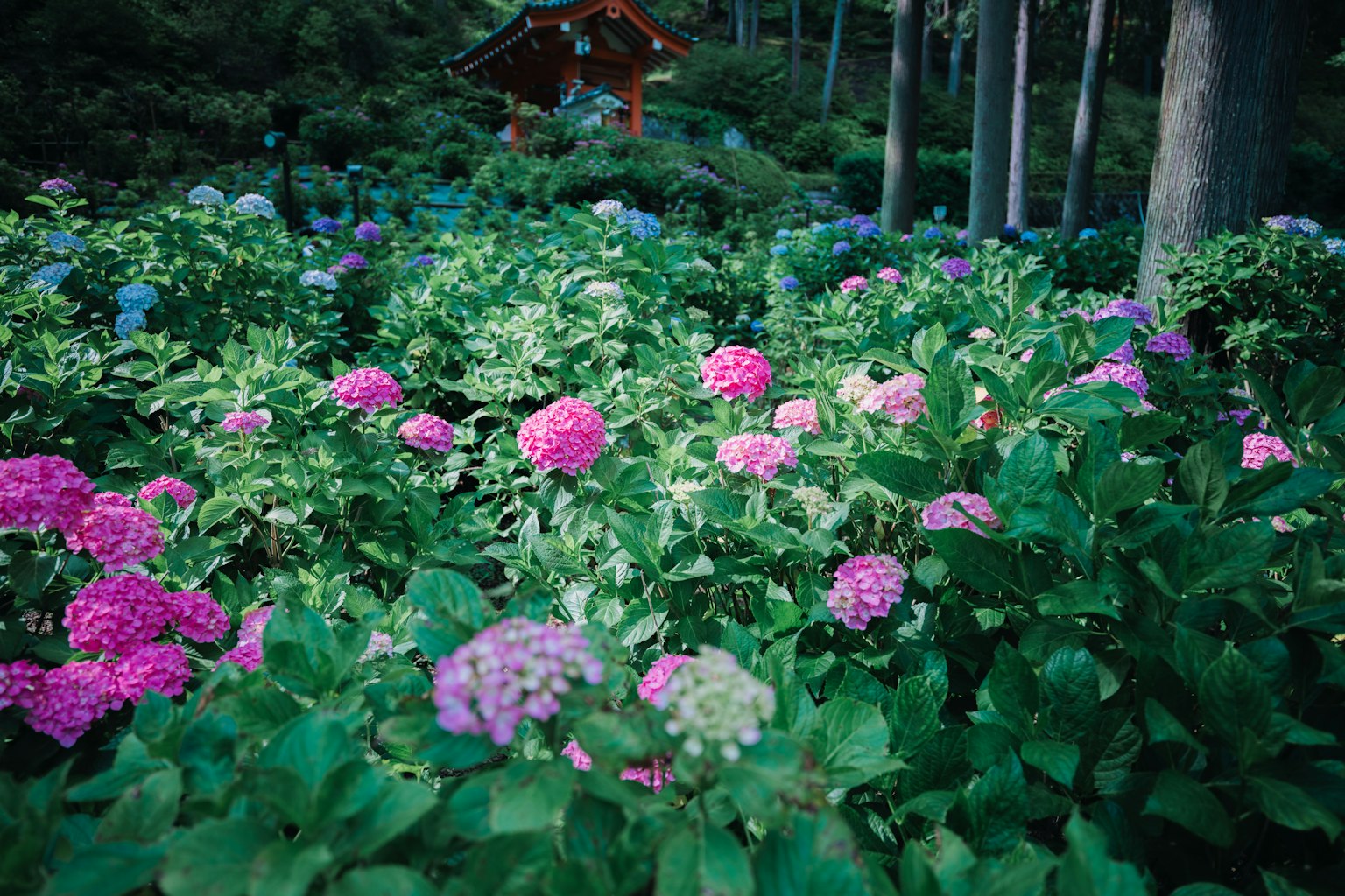 photo-pSgUvH4kS4w7okma77UJ-image