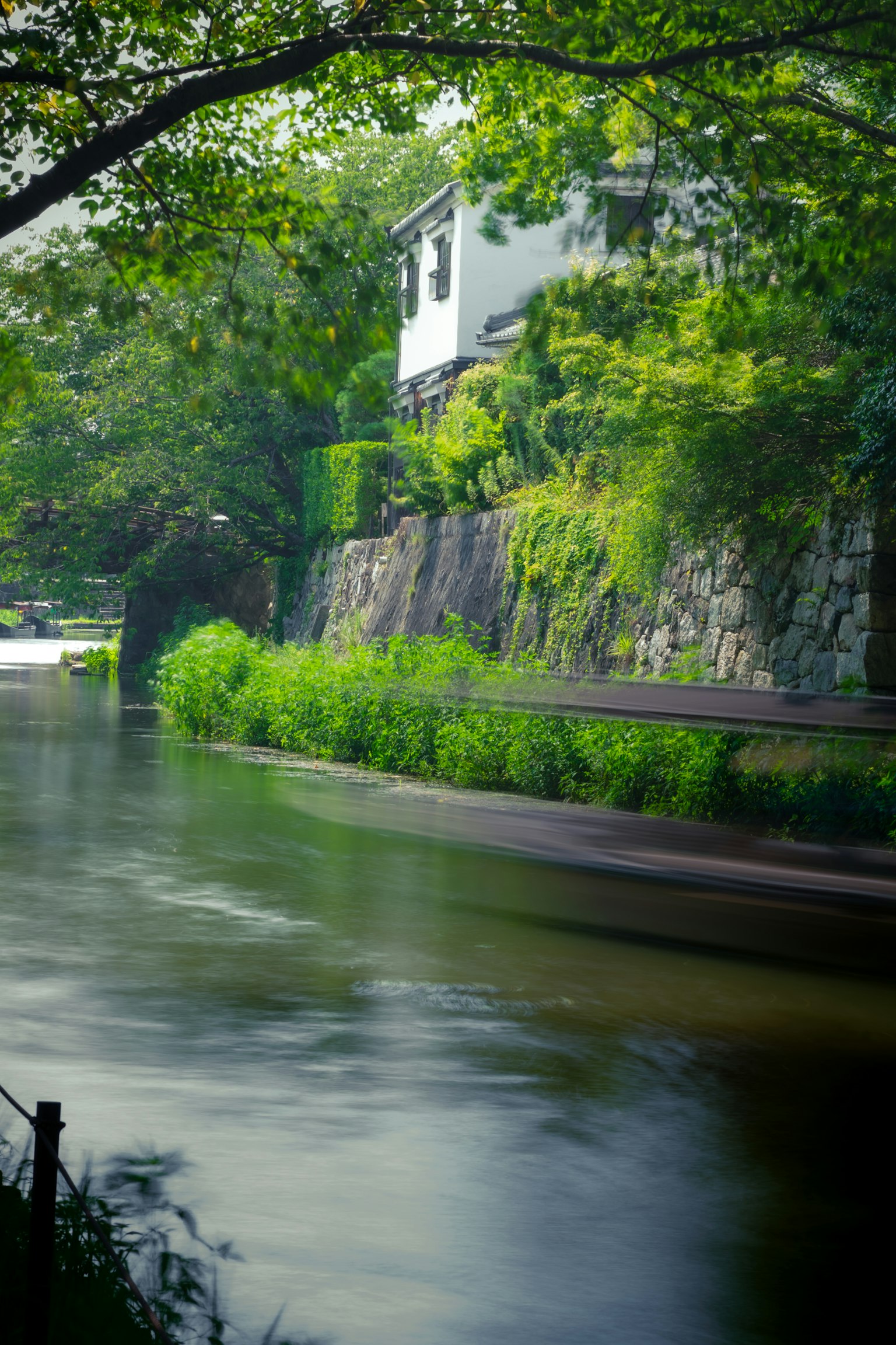 Serene riverside scene with lush greenery and a white house atop a stone wall