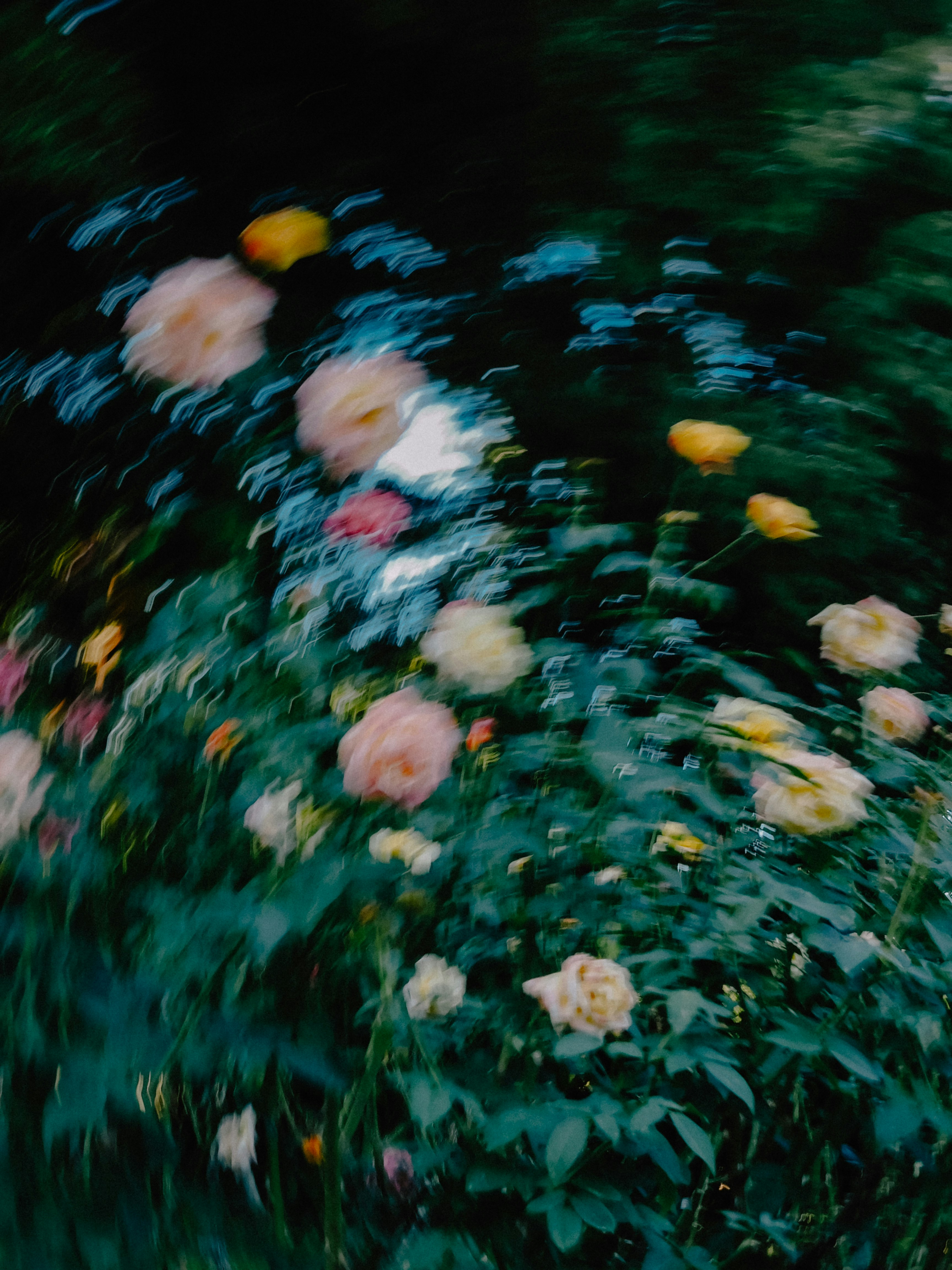 colorful flowers in a green meadow image