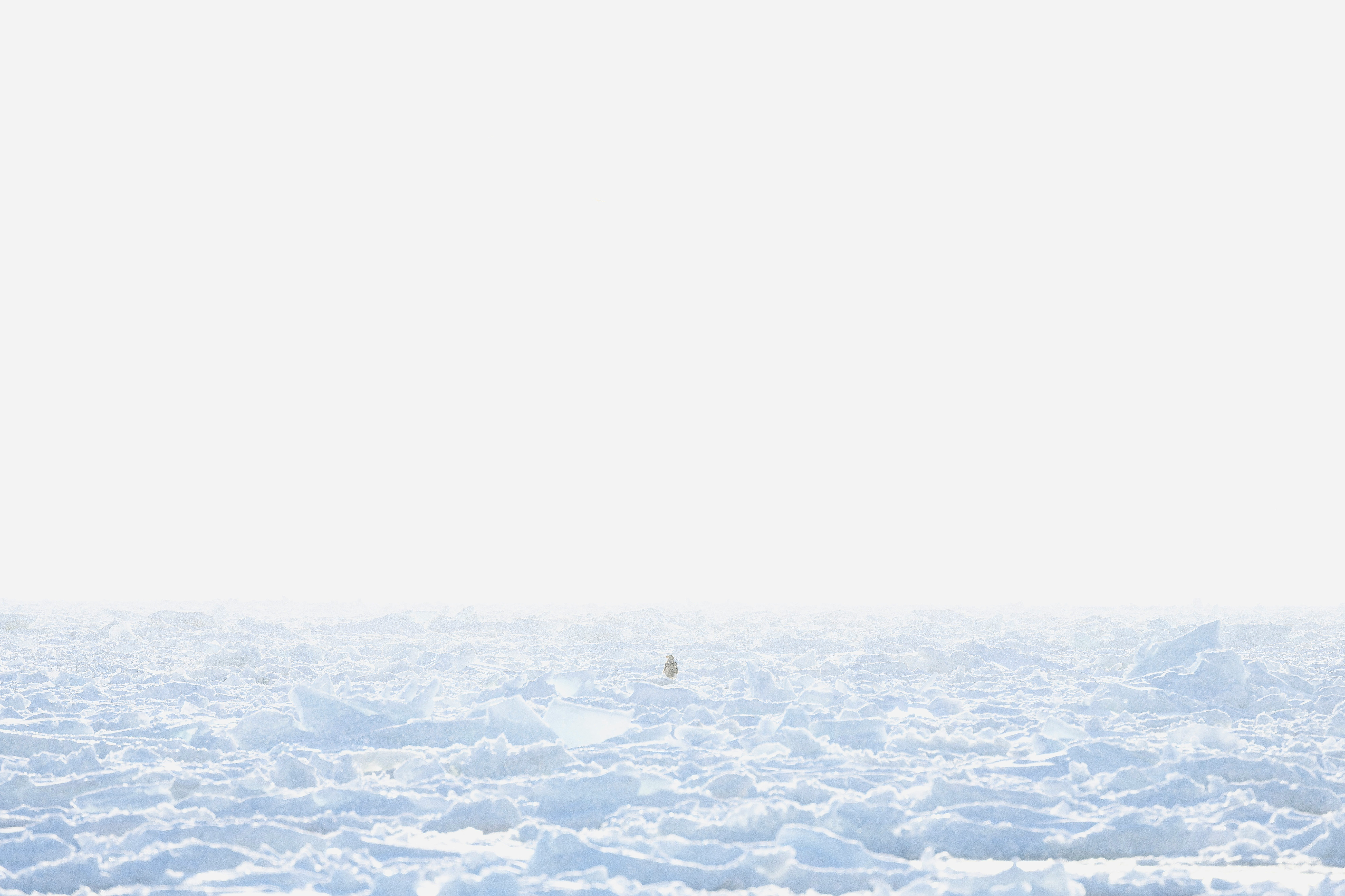 冬の空から見下ろす雲海の雪景色