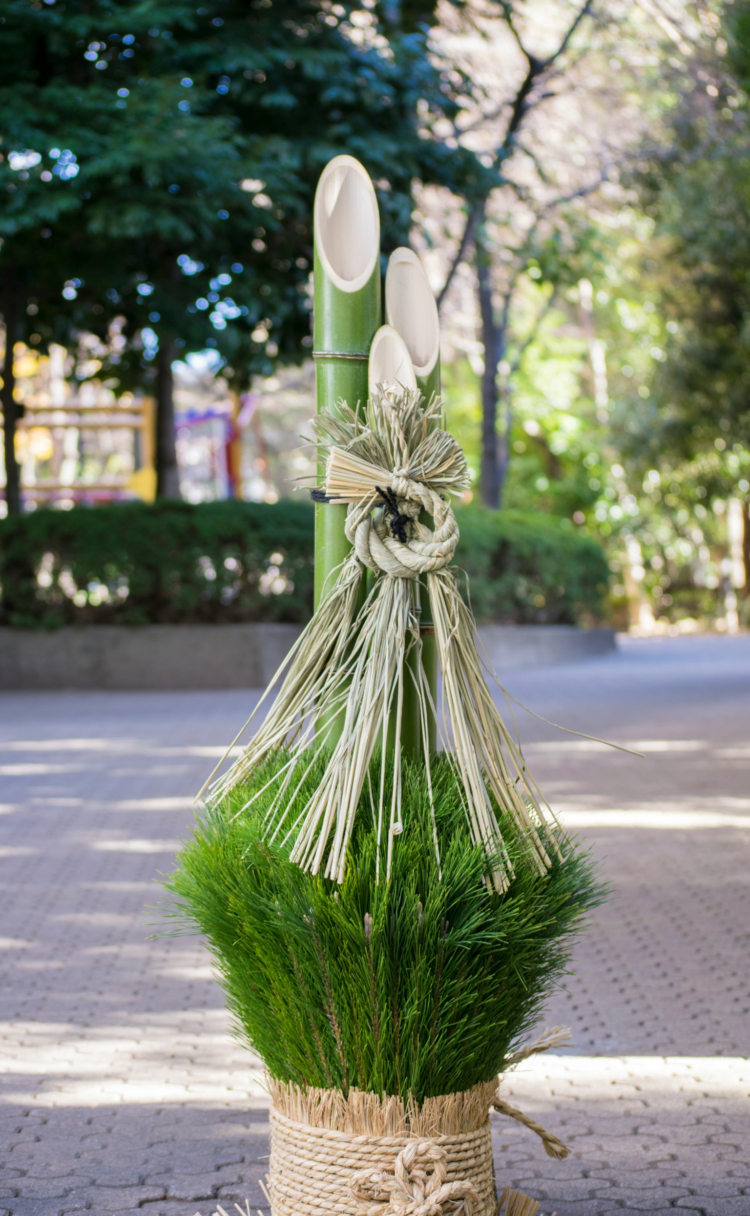Decorative arrangement made of green grass and bamboo standing outdoors