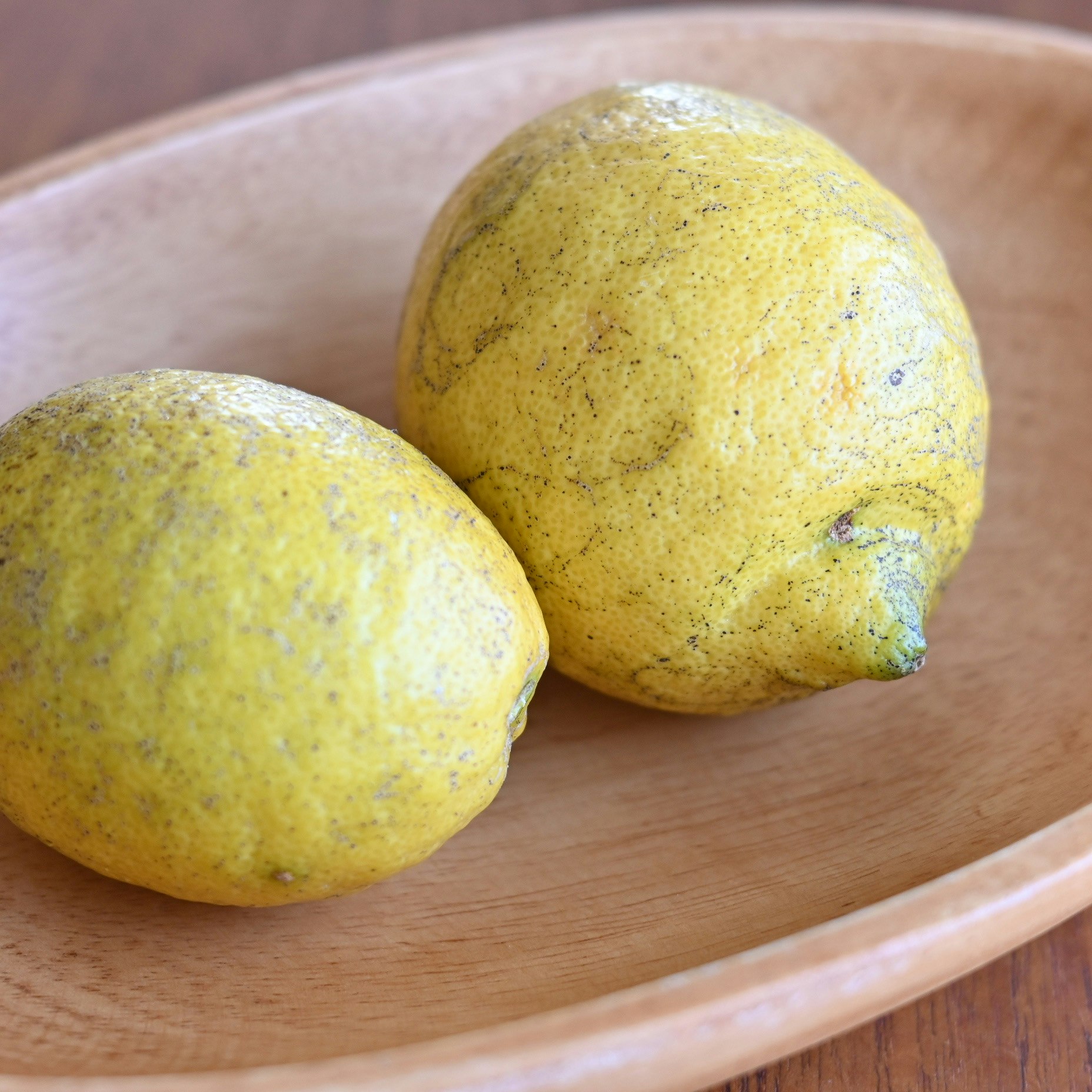 photo-pTCpDvIWQjQYrDFE90lc-image