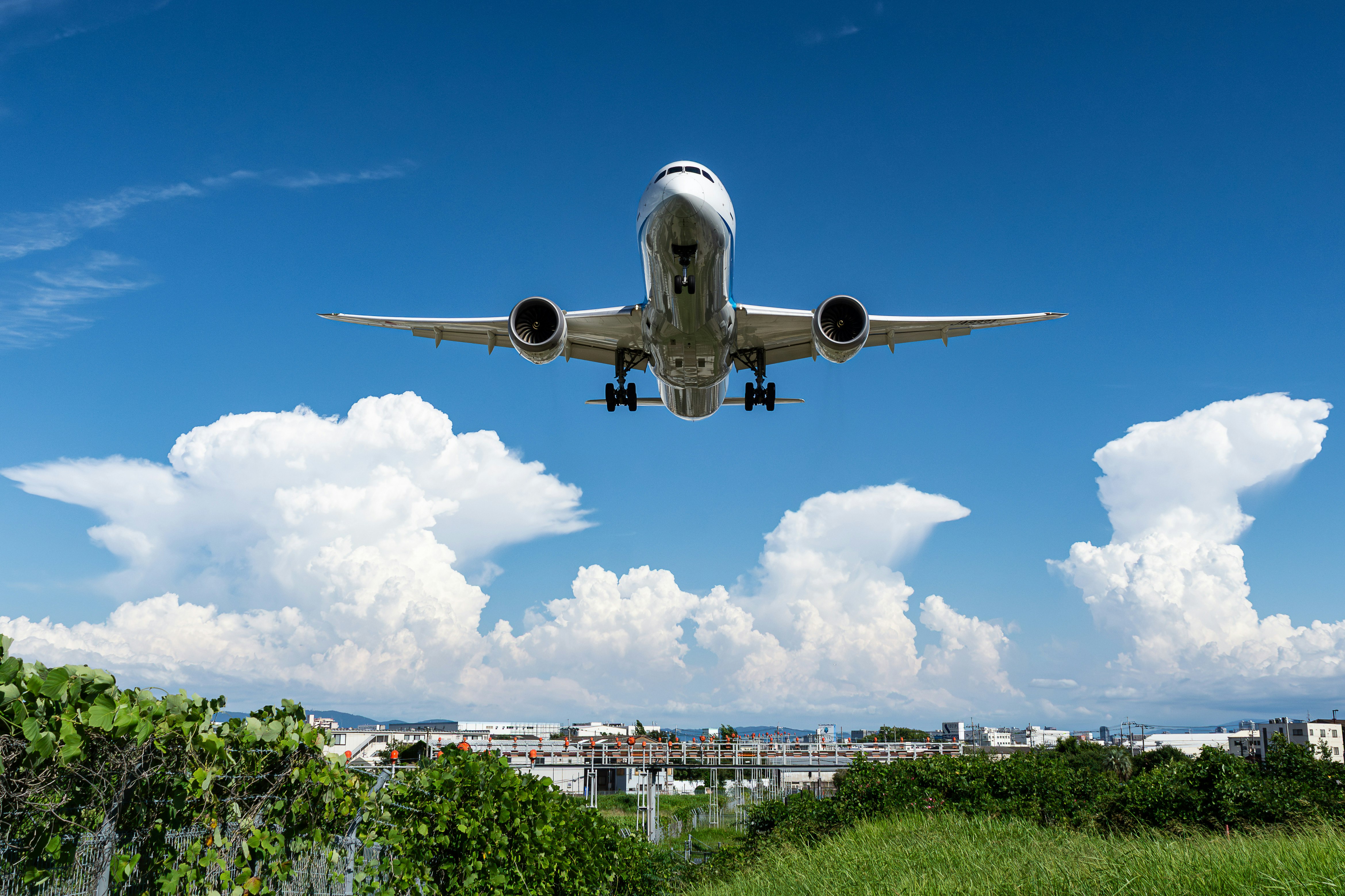 入道雲の下を飛ぶ旅客機と緑の土手
