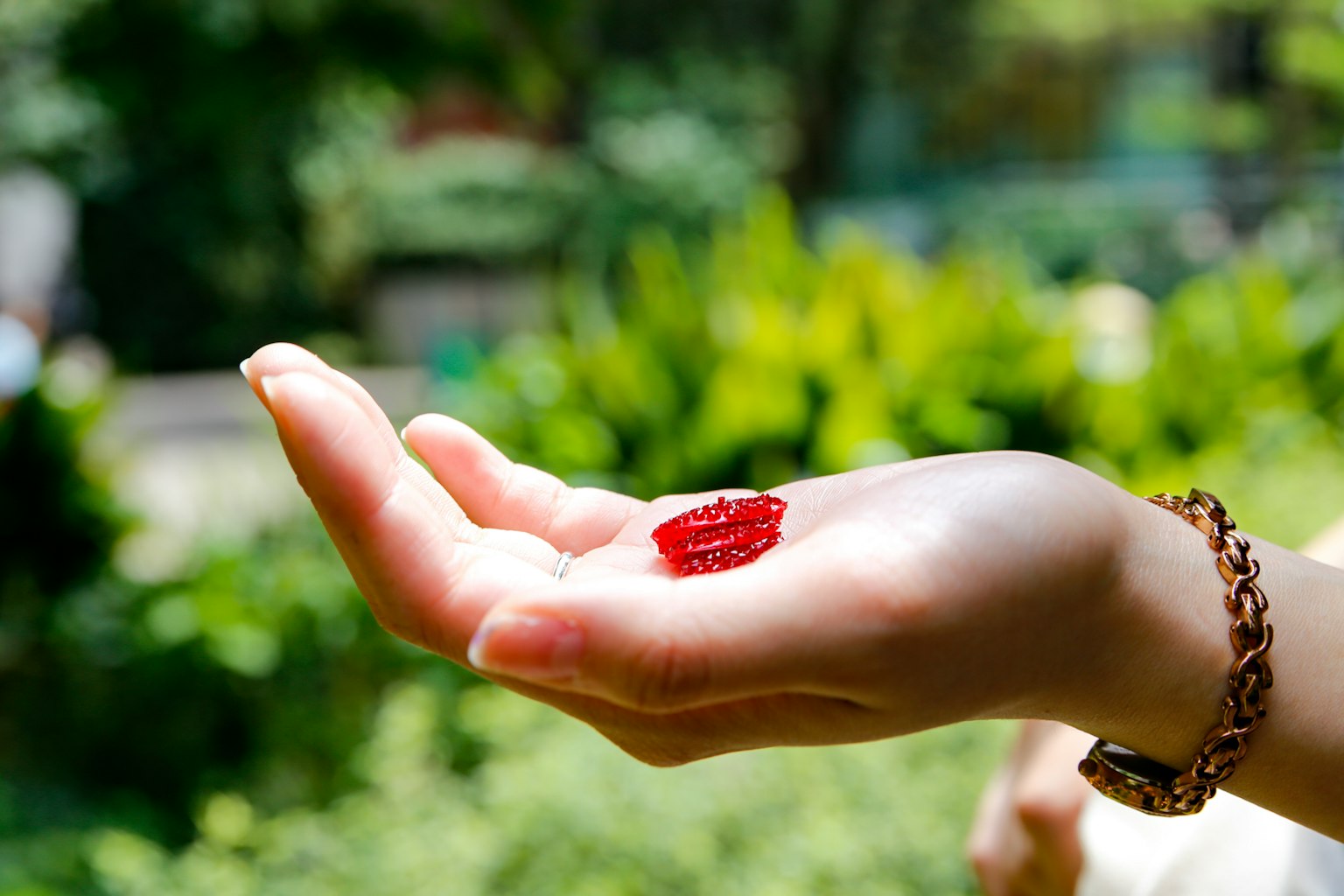 มือที่ถือเยลลี่สีแดงบนพื้นหลังสีเขียว