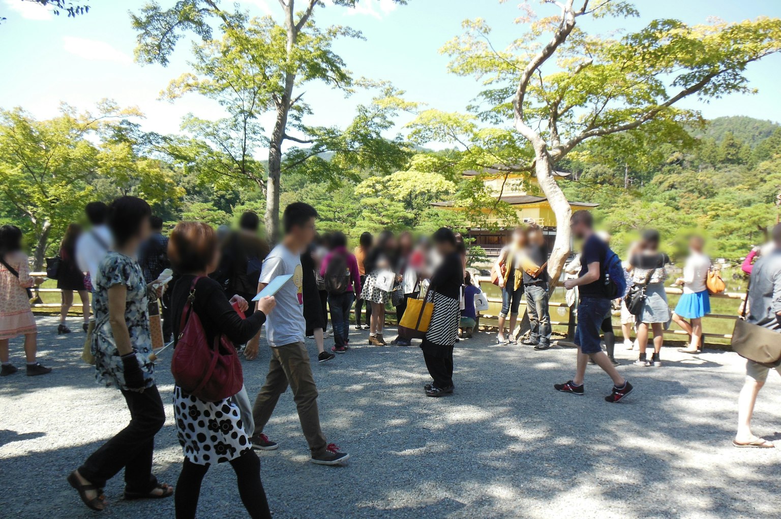 A scene of many people walking in a park with green trees and a clear sky in the background