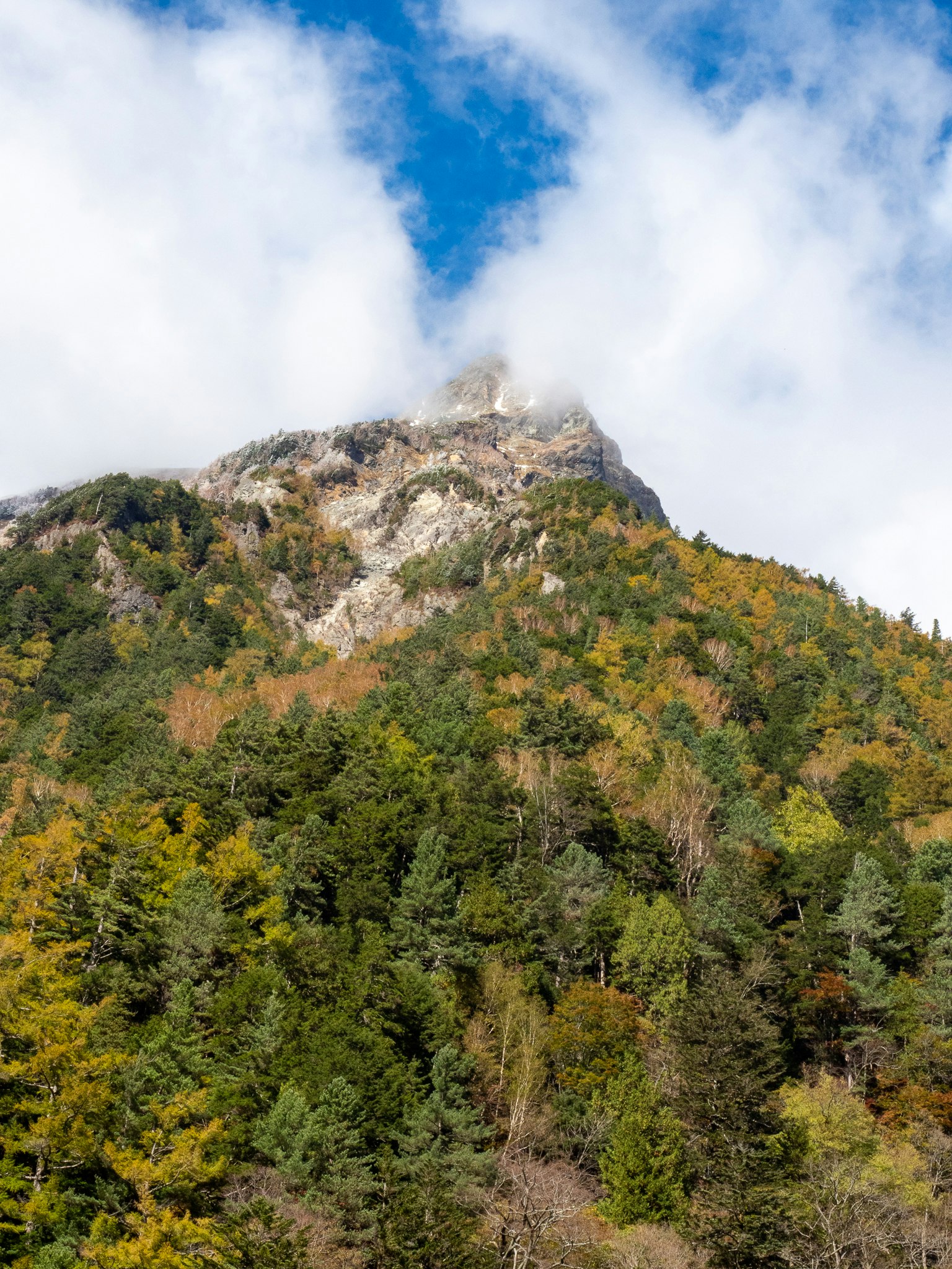 被云雾笼罩的山峰和下面的五彩斑斓的树叶