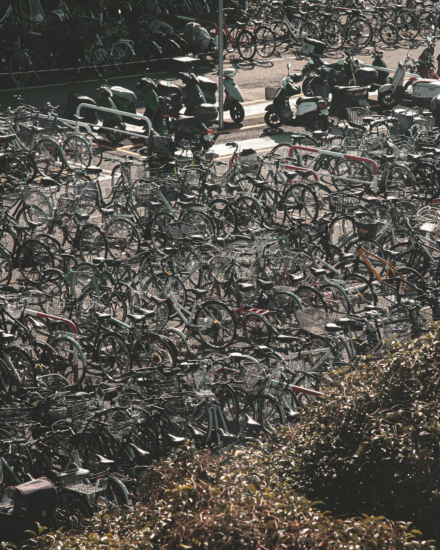 photo-pUy8HK7krKe3BLdHhnPZ-image