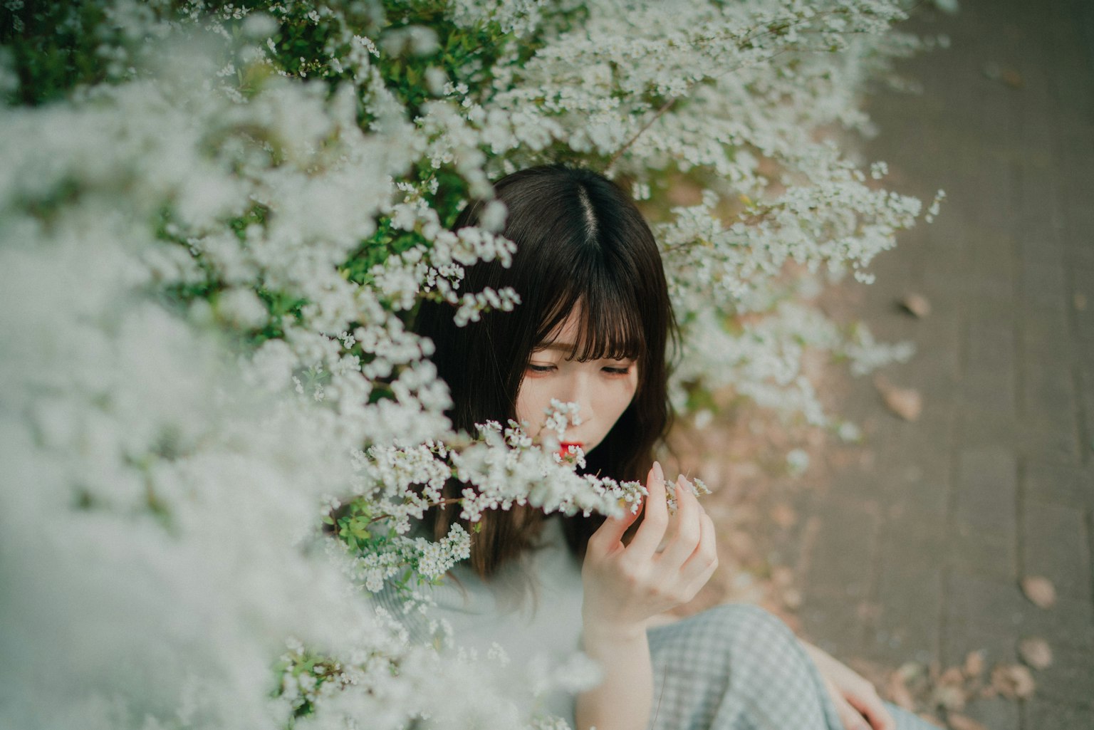 Một người phụ nữ được bao quanh bởi hoa trắng cầm một bông hoa