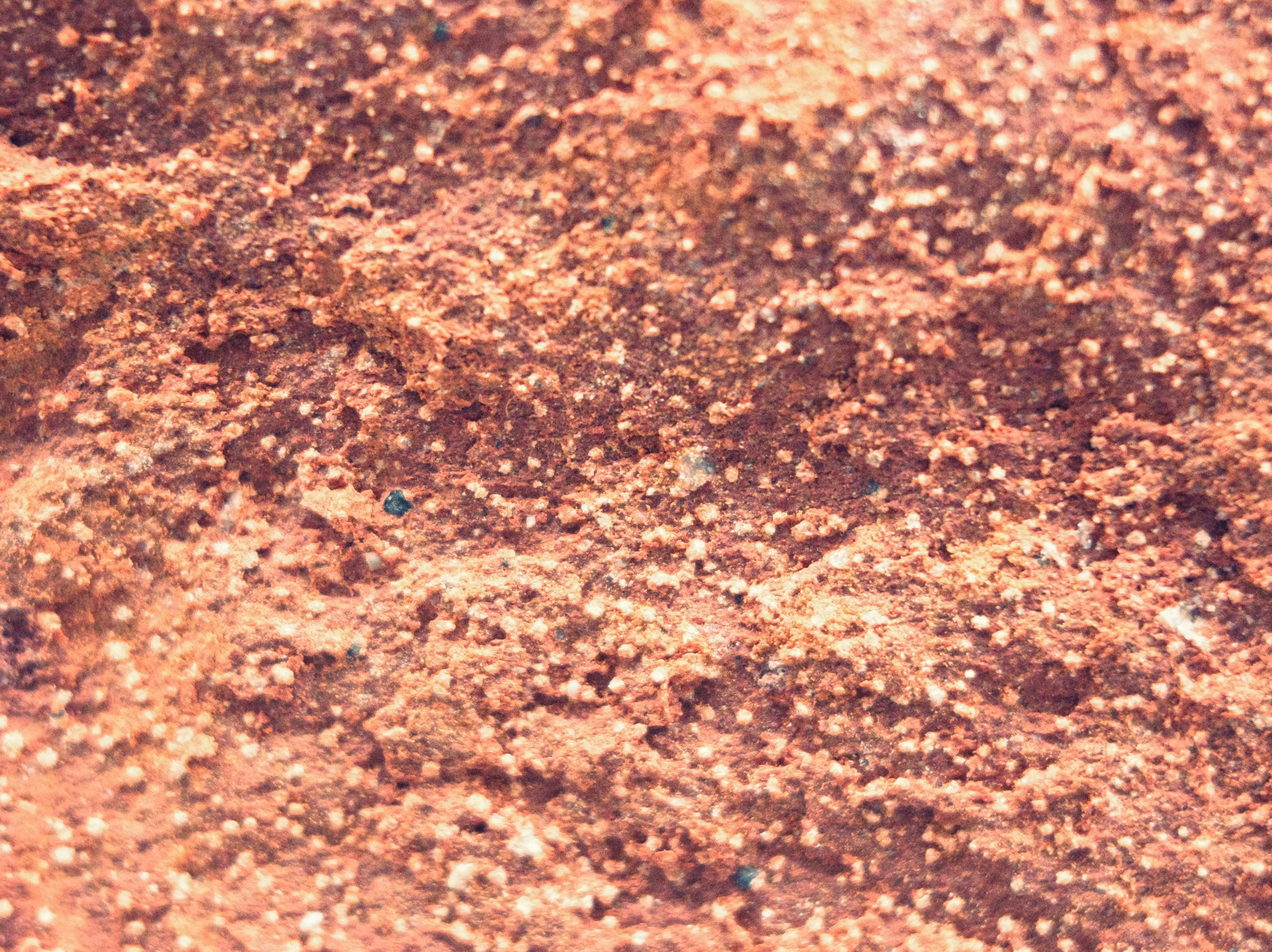 photo-pVGDs9Xg1Z1KwJbIXFHN