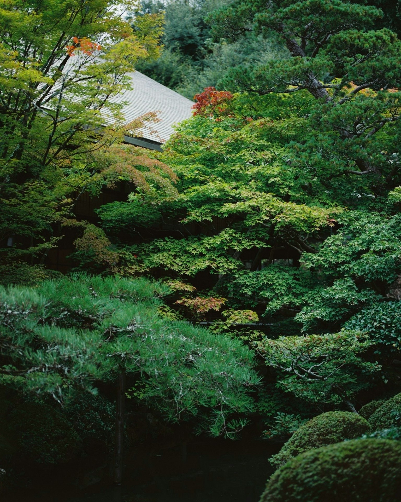 緑豊かな庭園に囲まれた建物の一部が見える