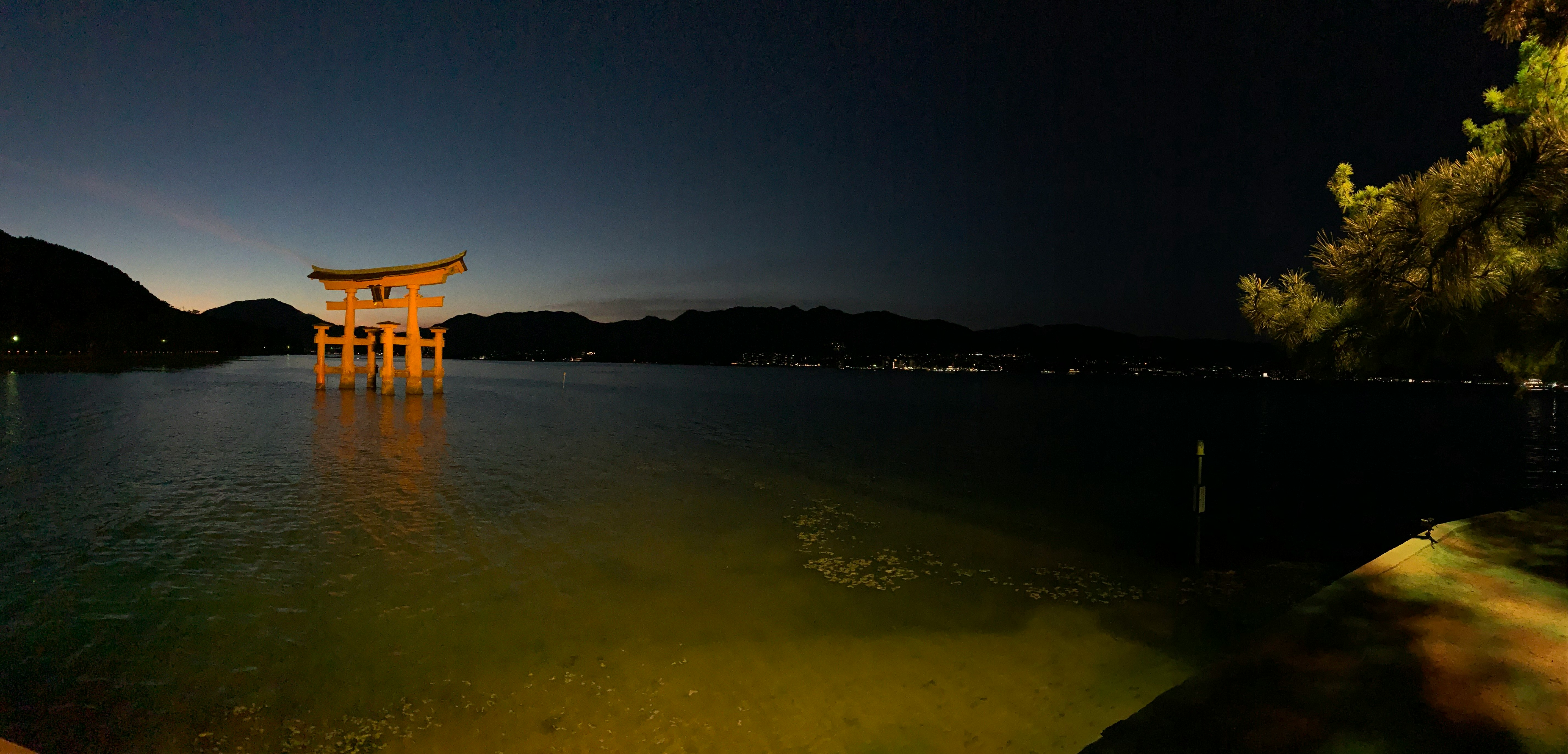 夜の湖畔に浮かぶ鳥居と灯りのある景色