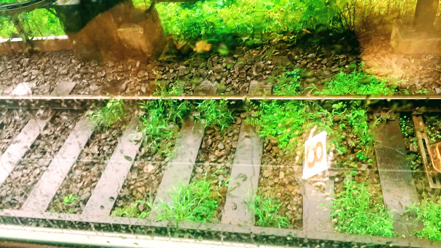 รางรถไฟที่ถูกหญ้าและก้อนหินเล็กๆ ปกคลุม