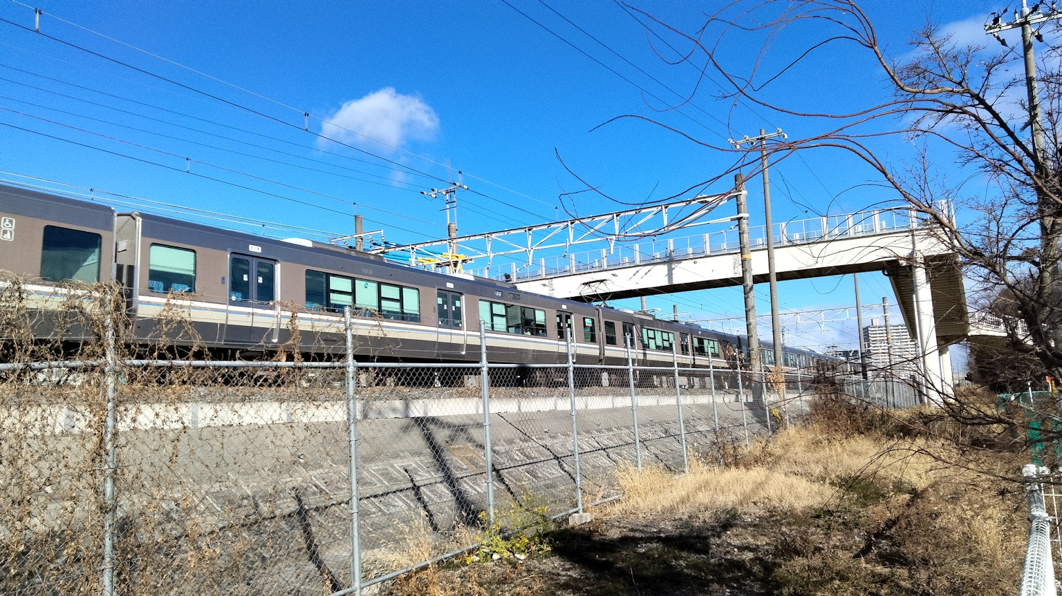 A scenic view of a train running under a blue sky with an overpass