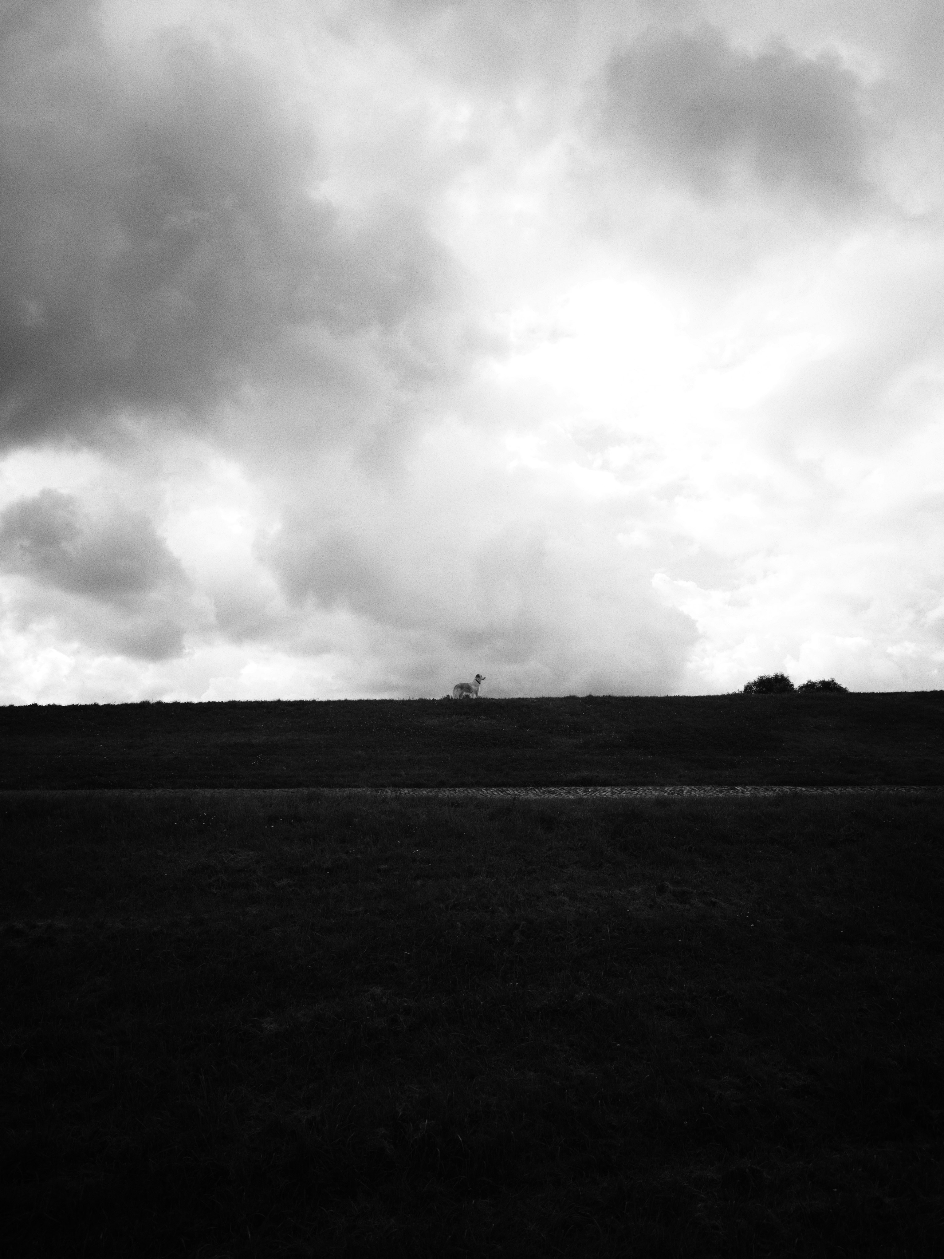 horizon over a cloud-covered moorland
