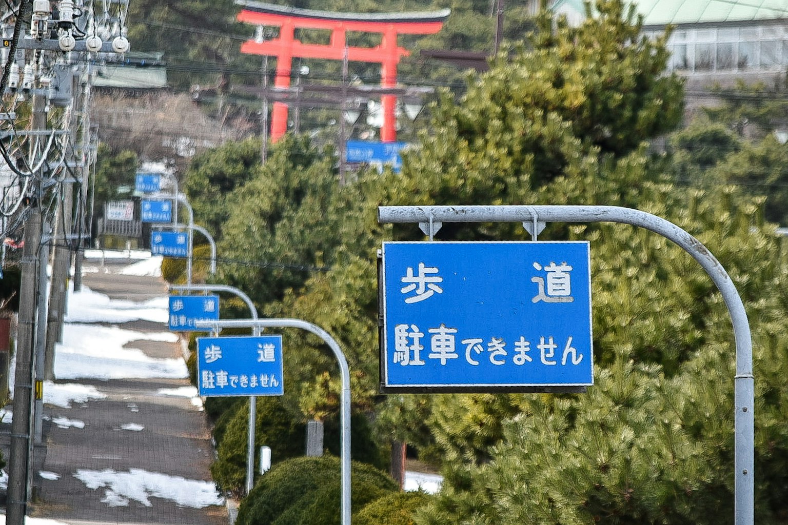Una vista de señales azules alineadas a lo largo de un camino peatonal con un torii al fondo