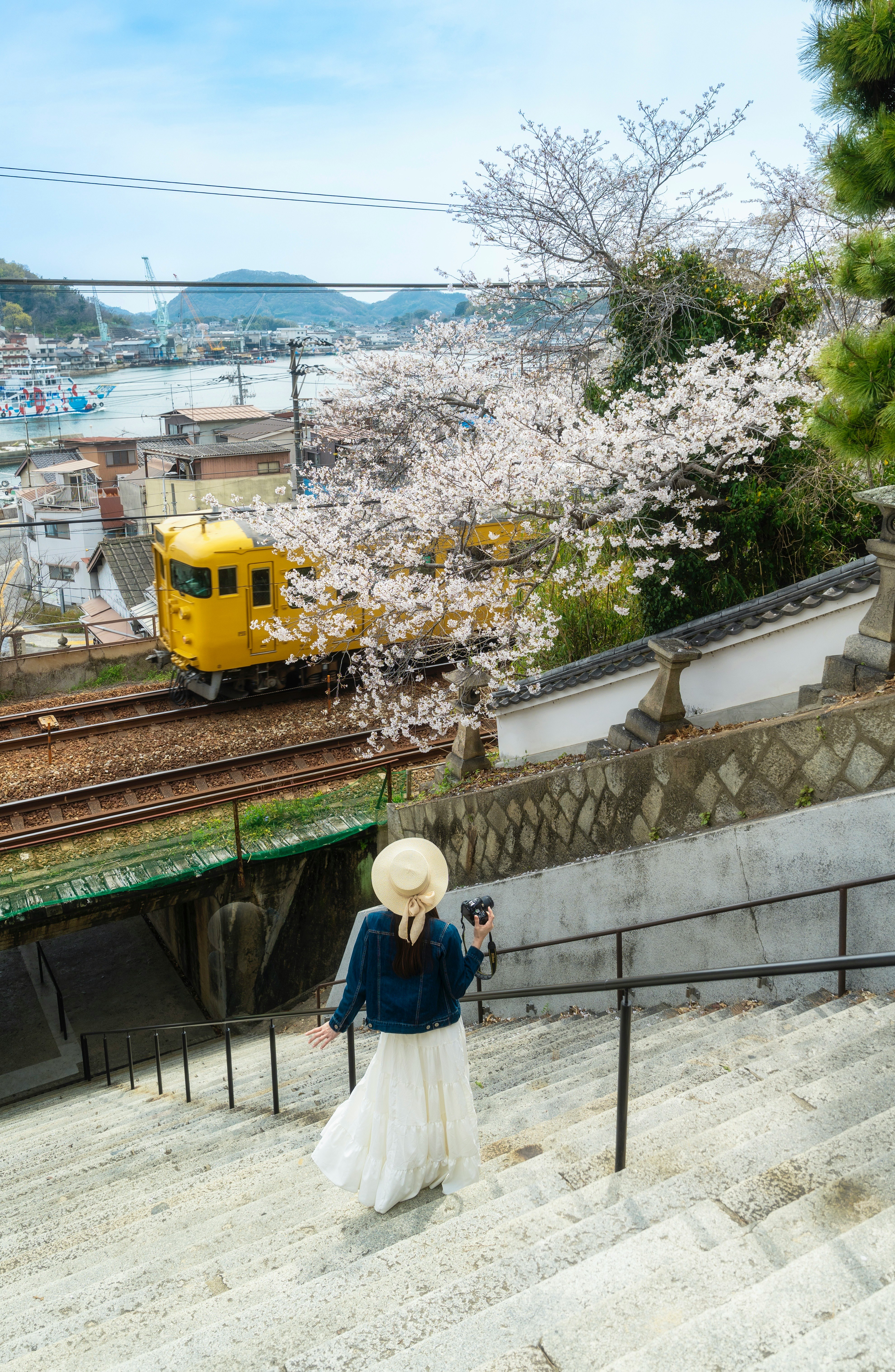 尾道の桜並木と線路が見える海辺の景色