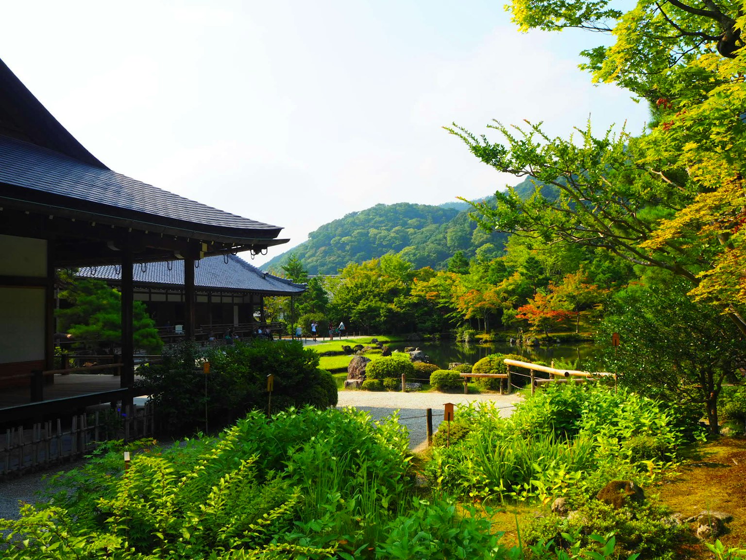 Vista serena de un jardín japonés con montañas de fondo