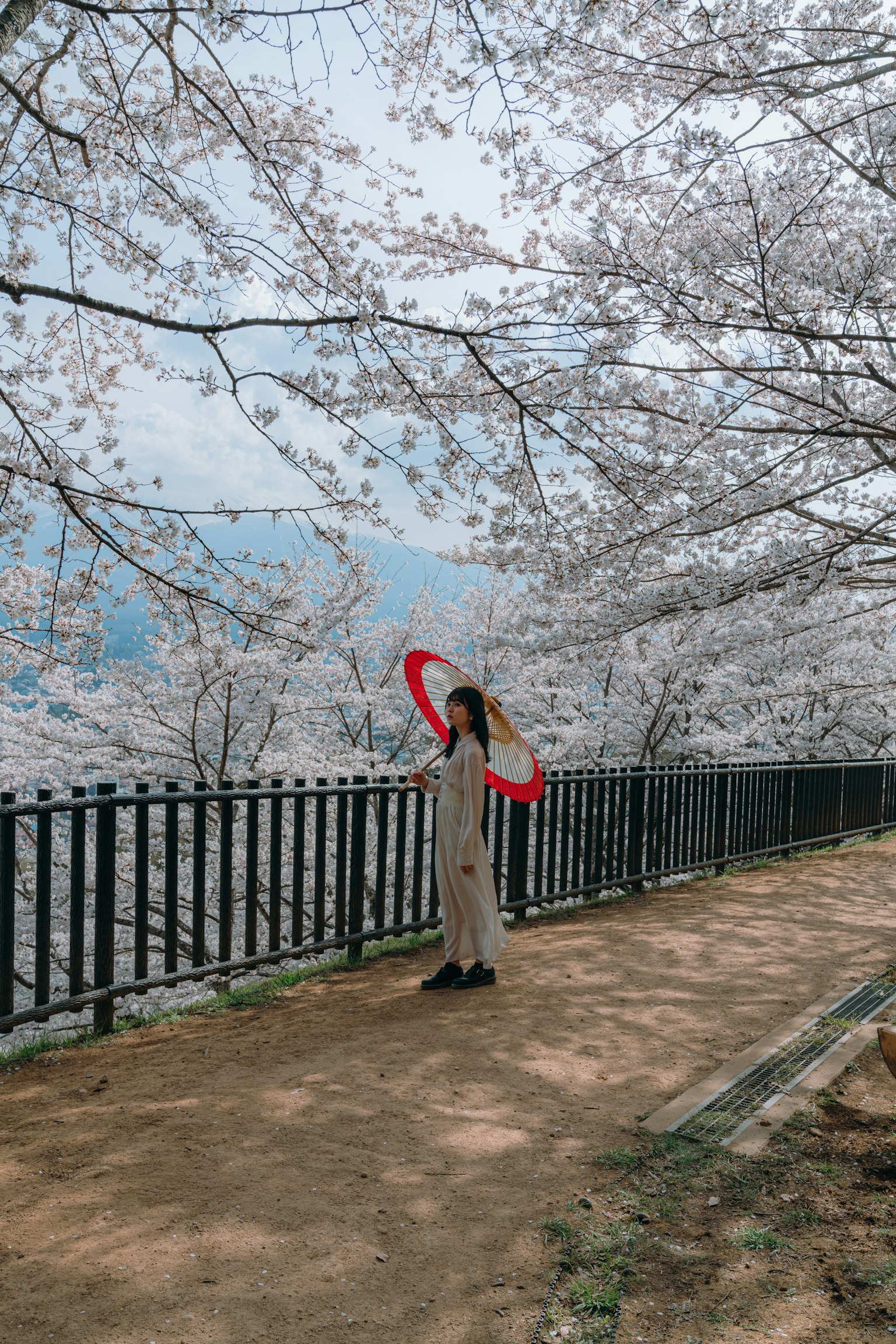 Femme tenant un parapluie rouge sous des cerisiers en fleurs