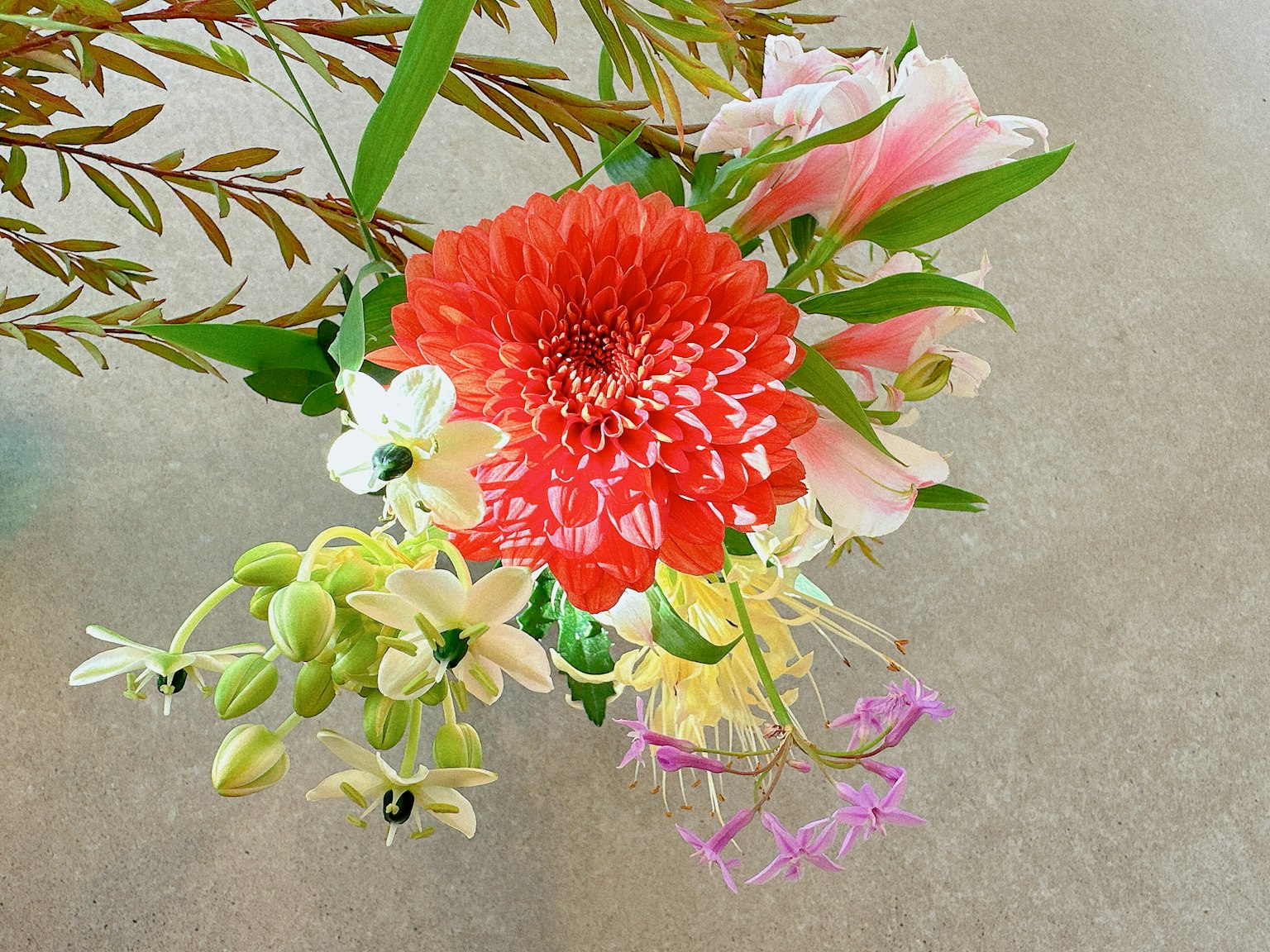 Buklet berwarna-warni dengan dahlia merah dan anggrek putih